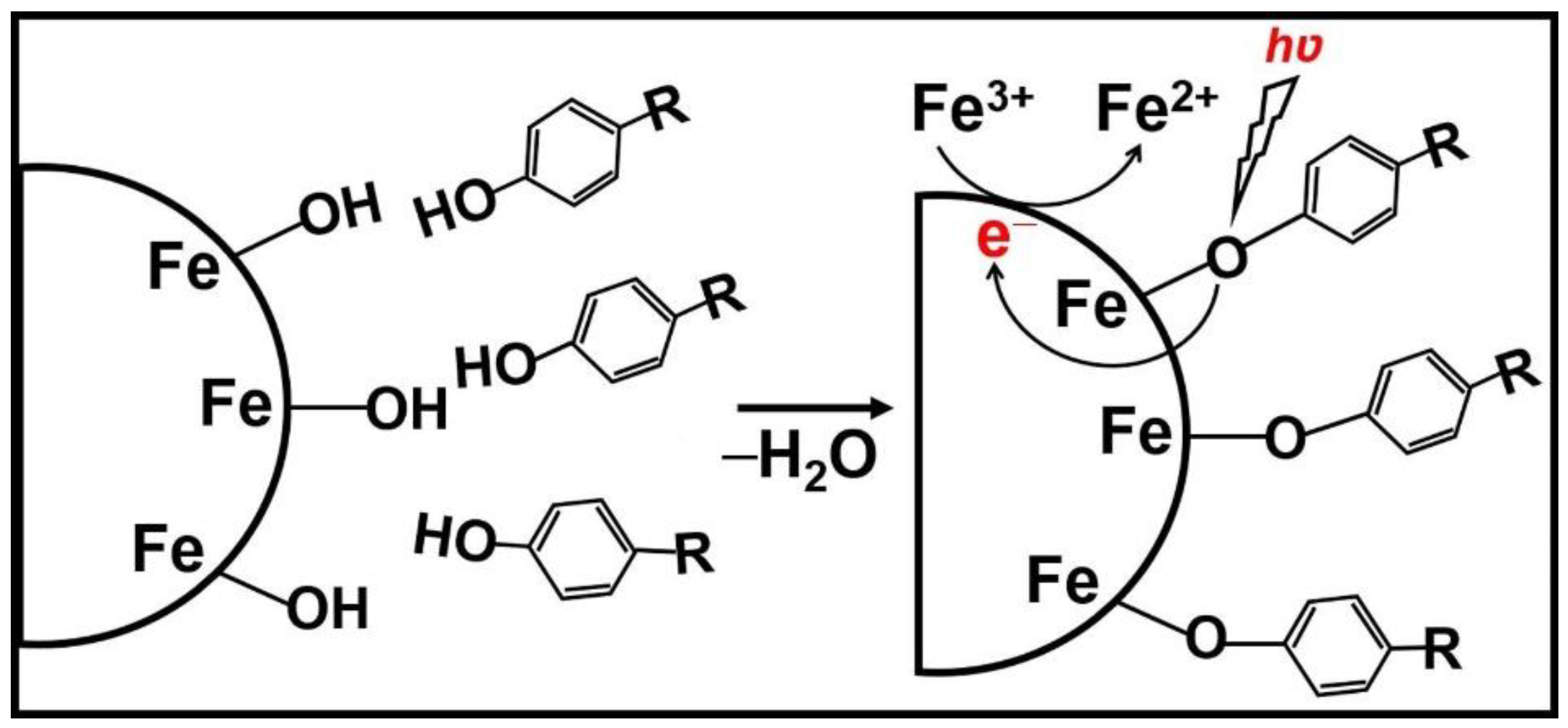 Nanomaterials 11 01804 g003 550
