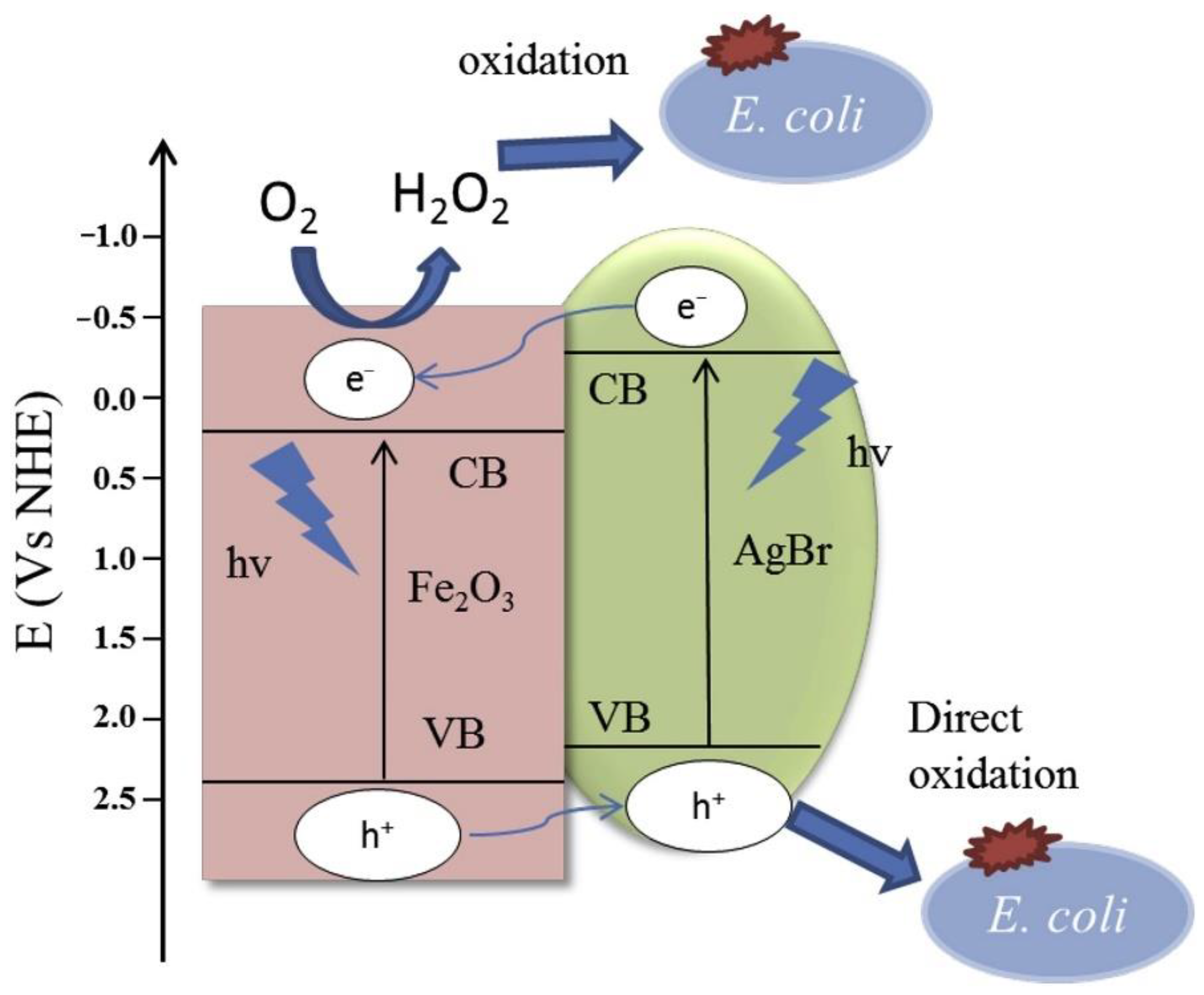 Nanomaterials 11 01804 g007 550