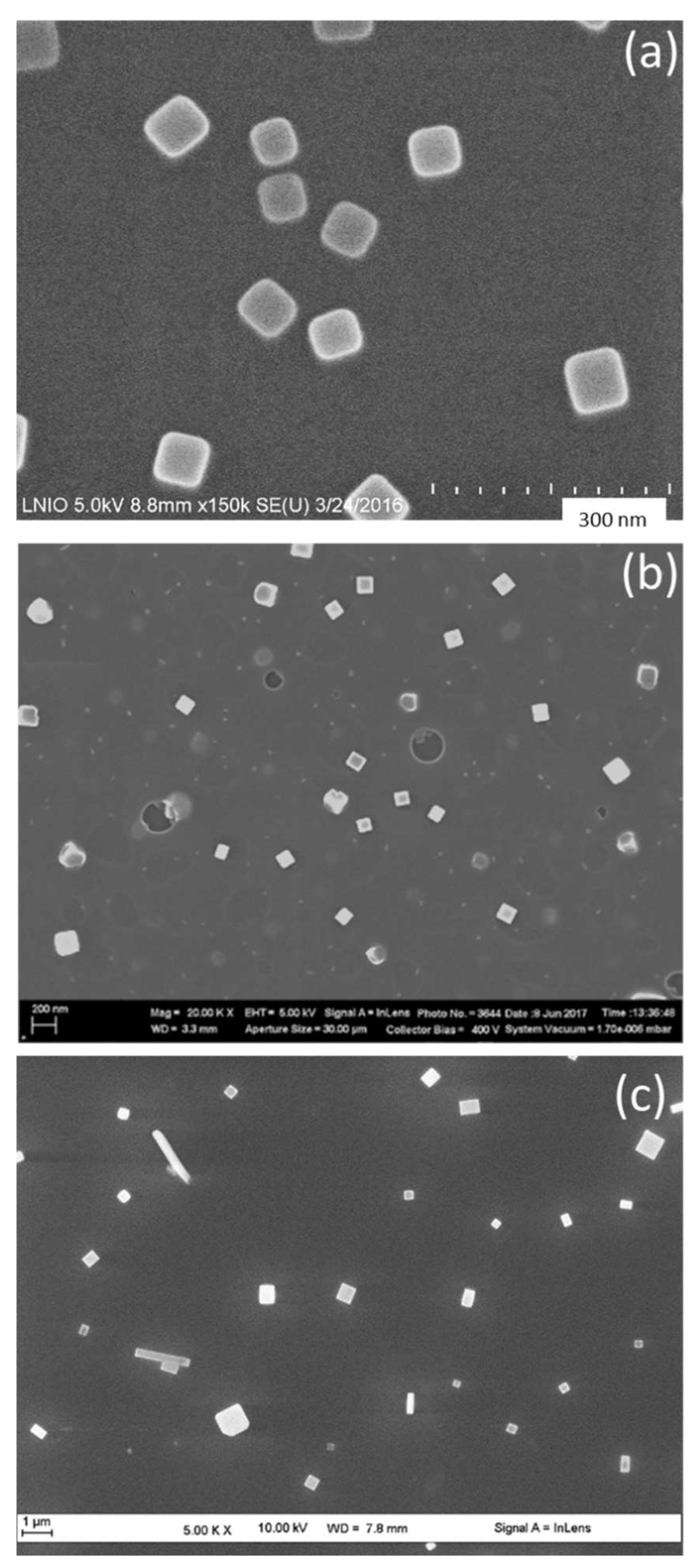 Nanomaterials 11 01806 g002 550