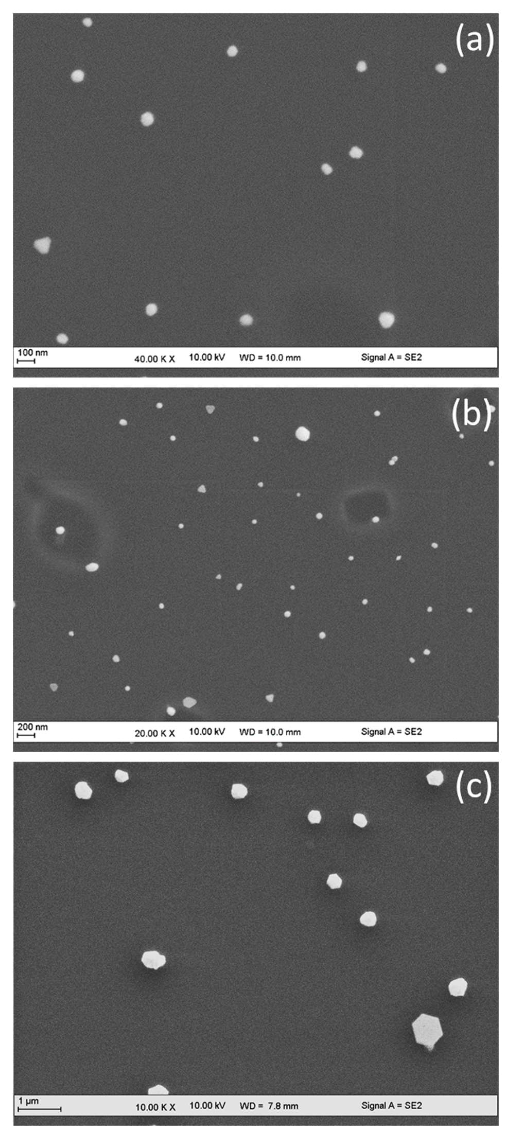 Nanomaterials 11 01806 g003 550