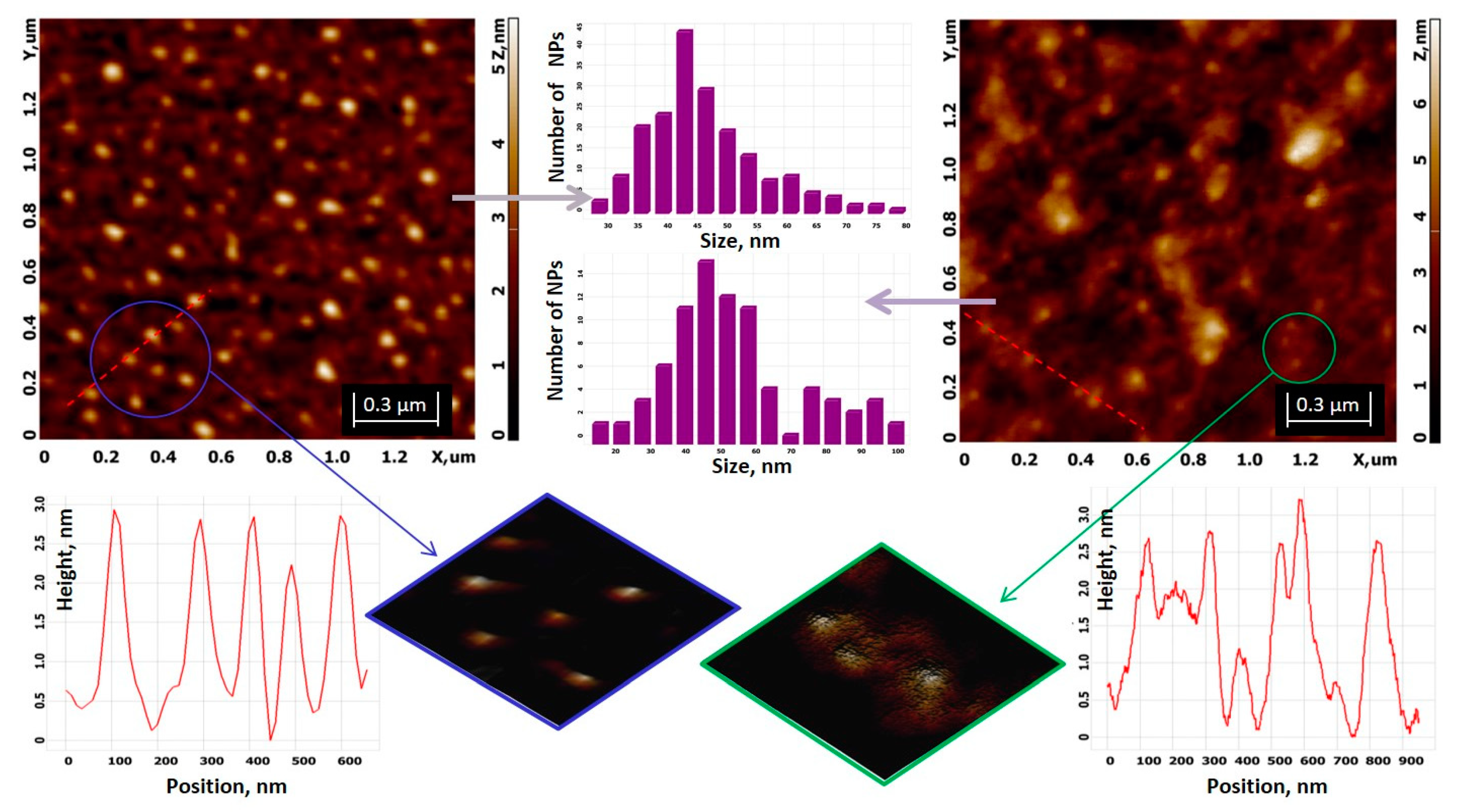 Nanomaterials 11 01811 g005