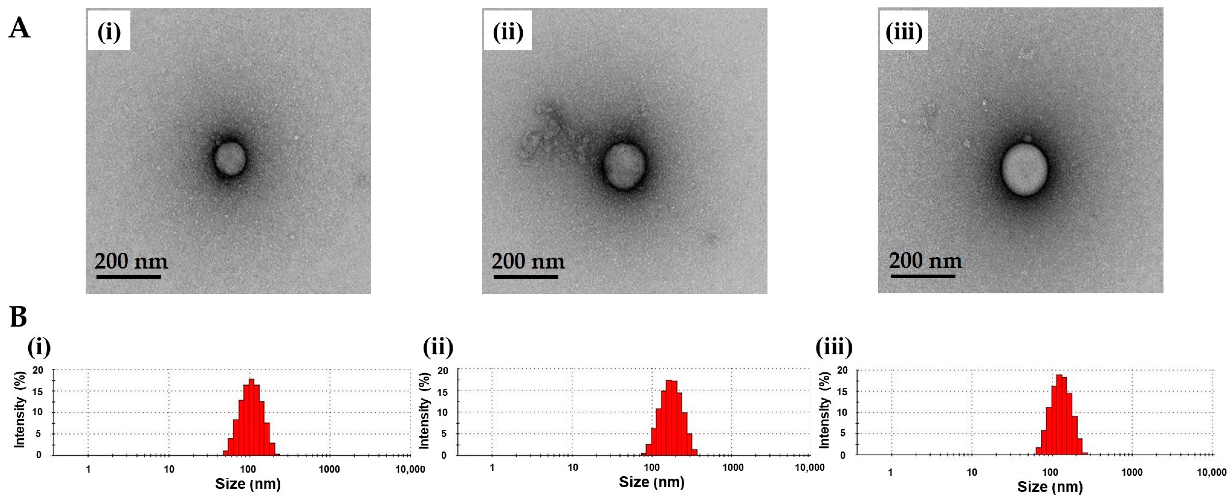 Nanomaterials 11 01812 g001 550