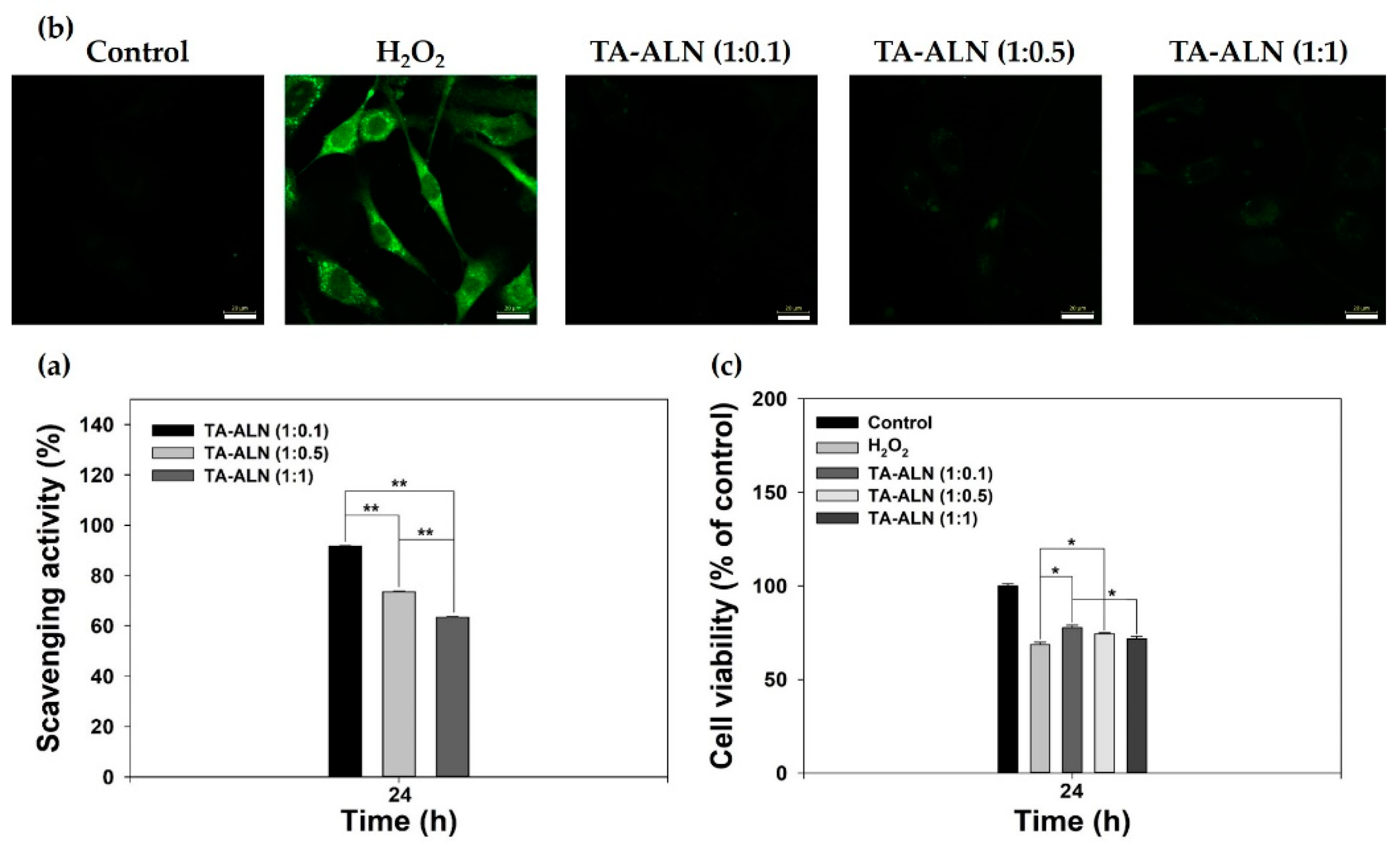 Nanomaterials 11 01812 g003 550