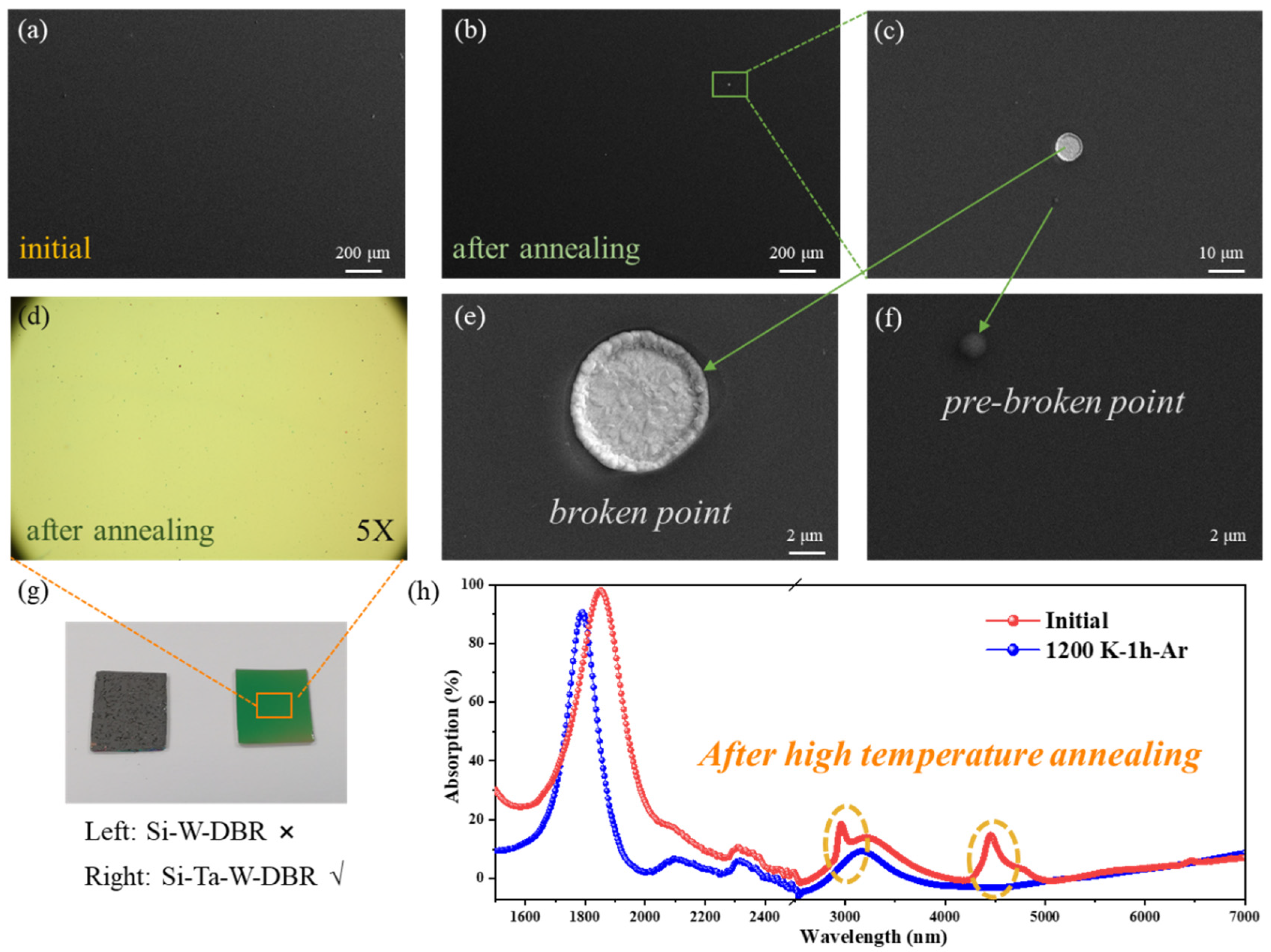 Nanomaterials 11 01814 g004 550