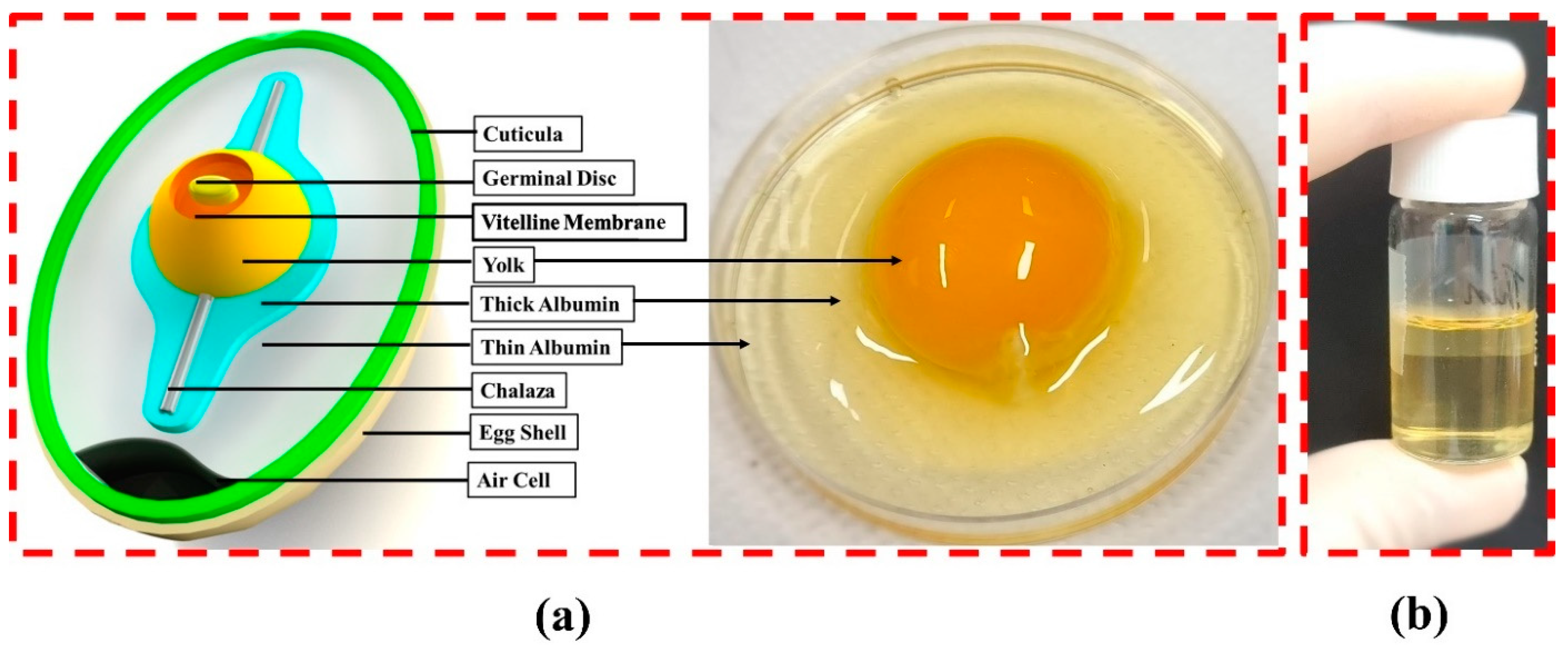 Nanomaterials 11 01815 g001 550