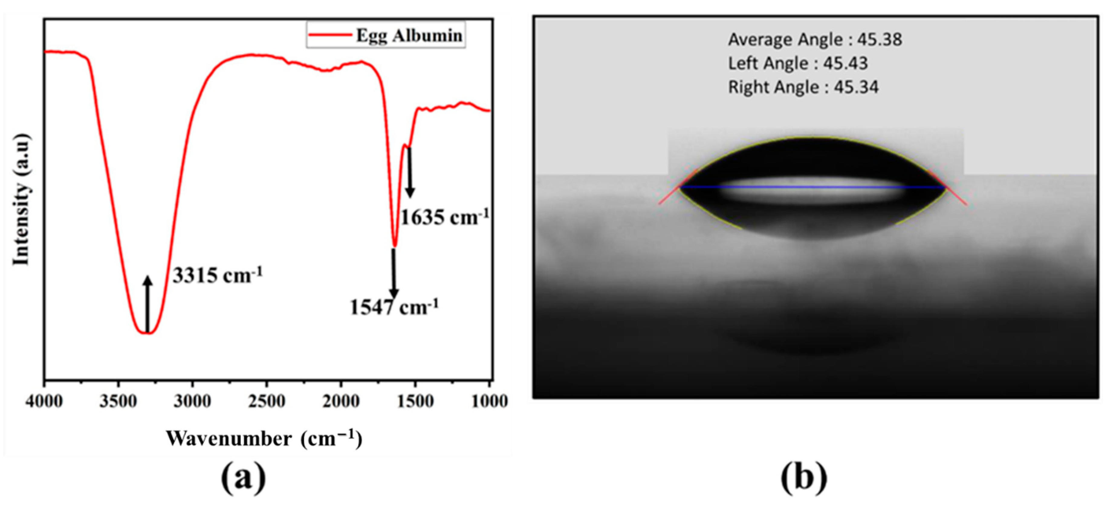 Nanomaterials 11 01815 g005 550