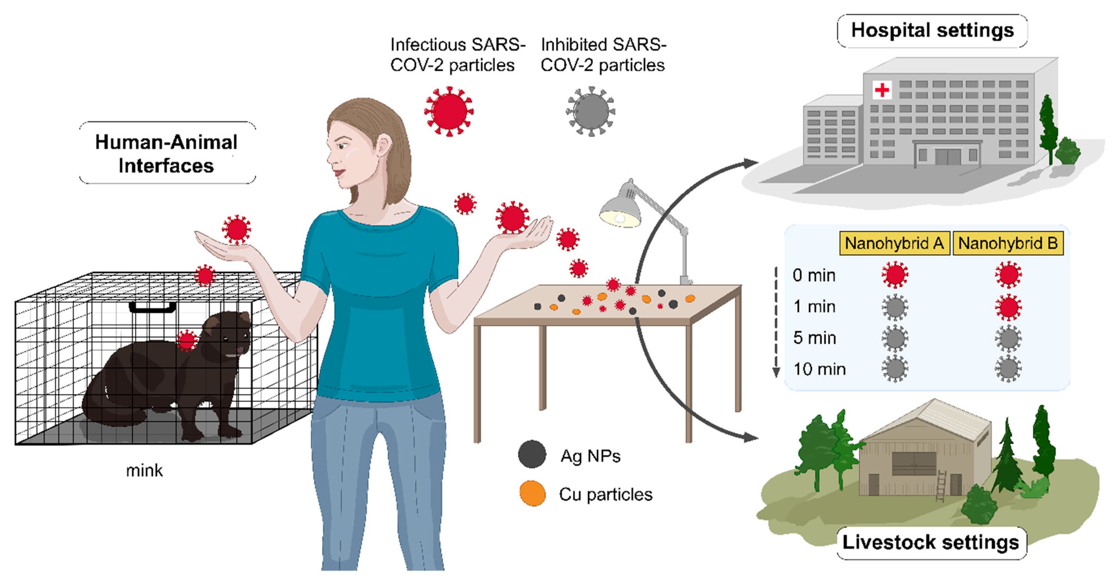 Nanomaterials 11 01820 g001