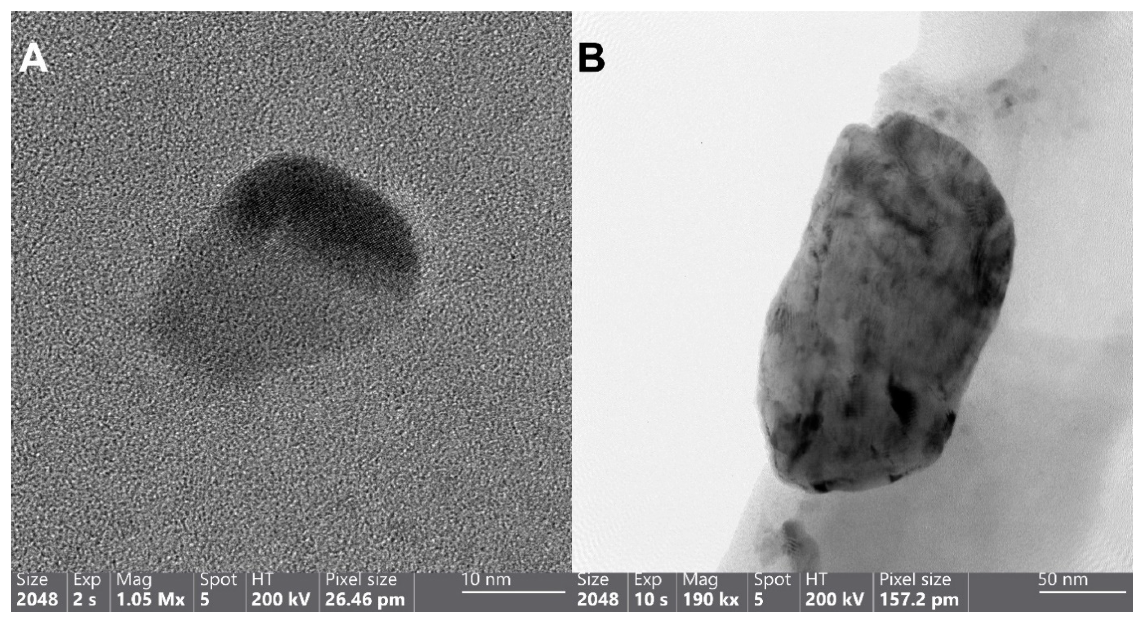 Nanomaterials 11 01820 g002a