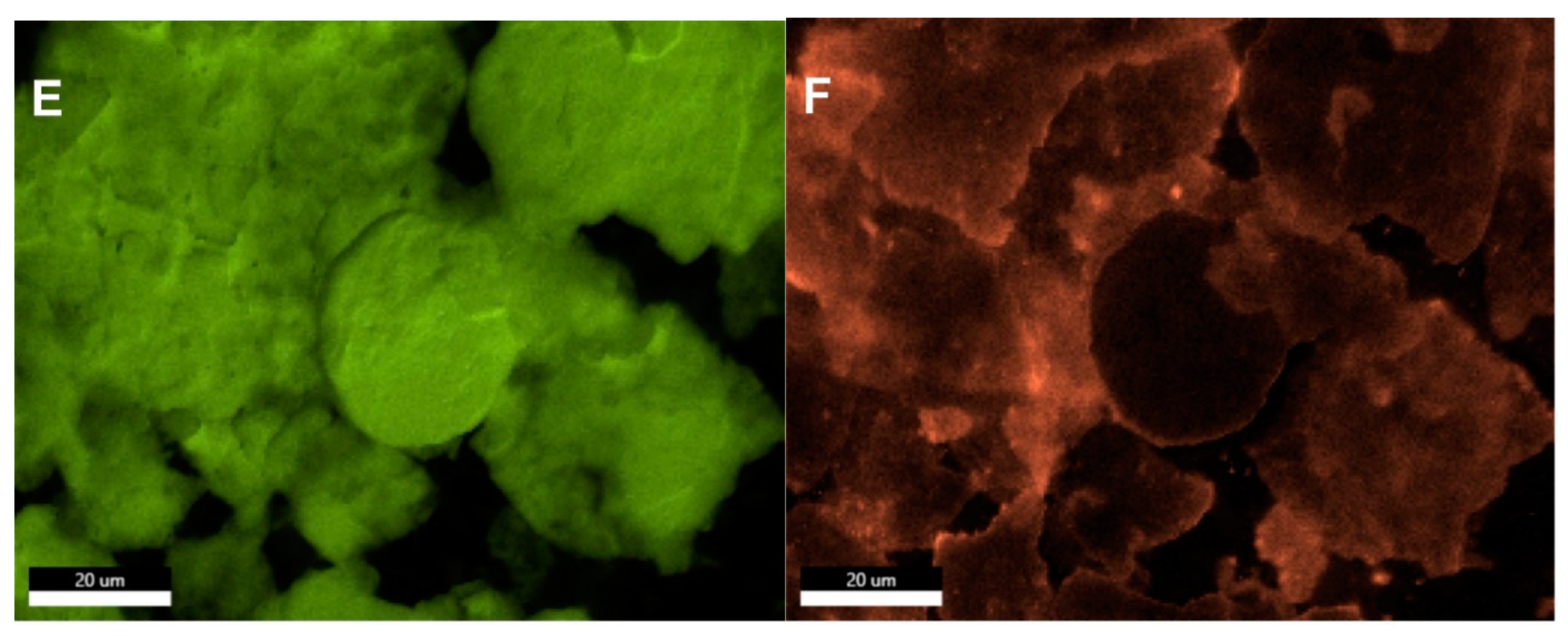 Nanomaterials 11 01820 g003b