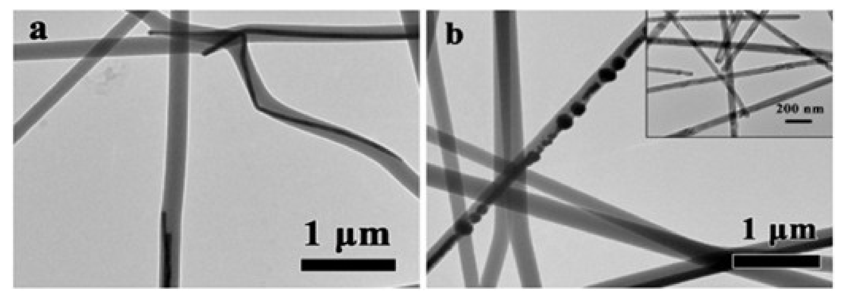 Nanomaterials 11 01822 g002 550