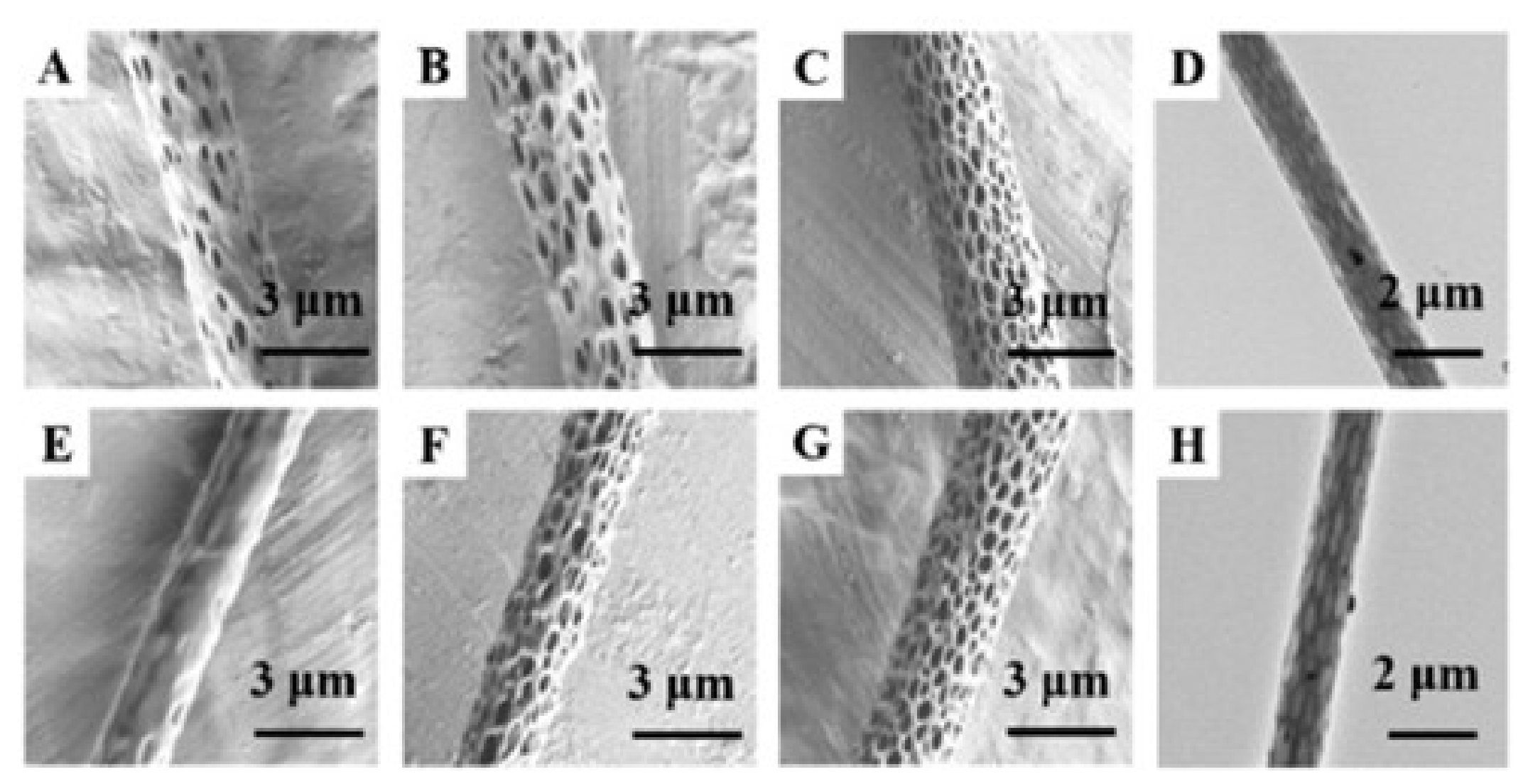 Nanomaterials 11 01822 g005 550