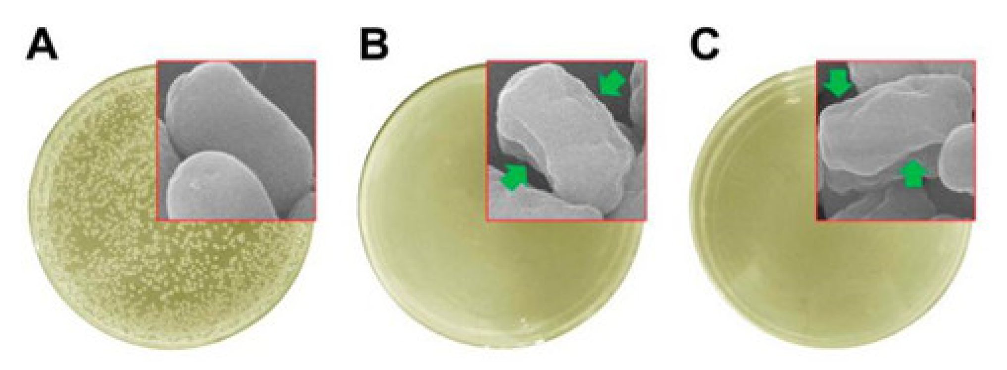 Nanomaterials 11 01822 g006 550