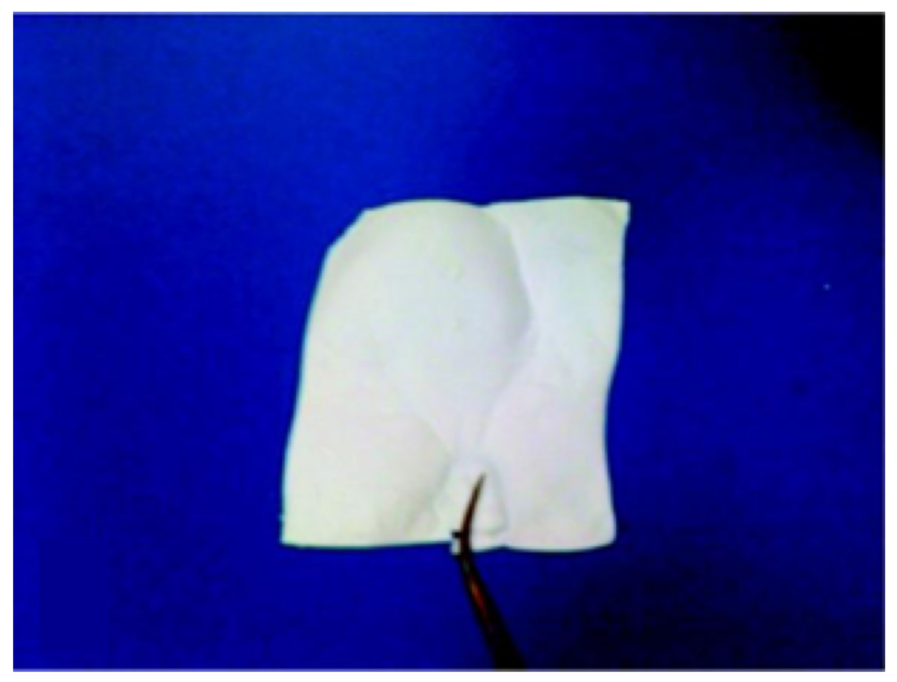 Nanomaterials 11 01822 g009 550