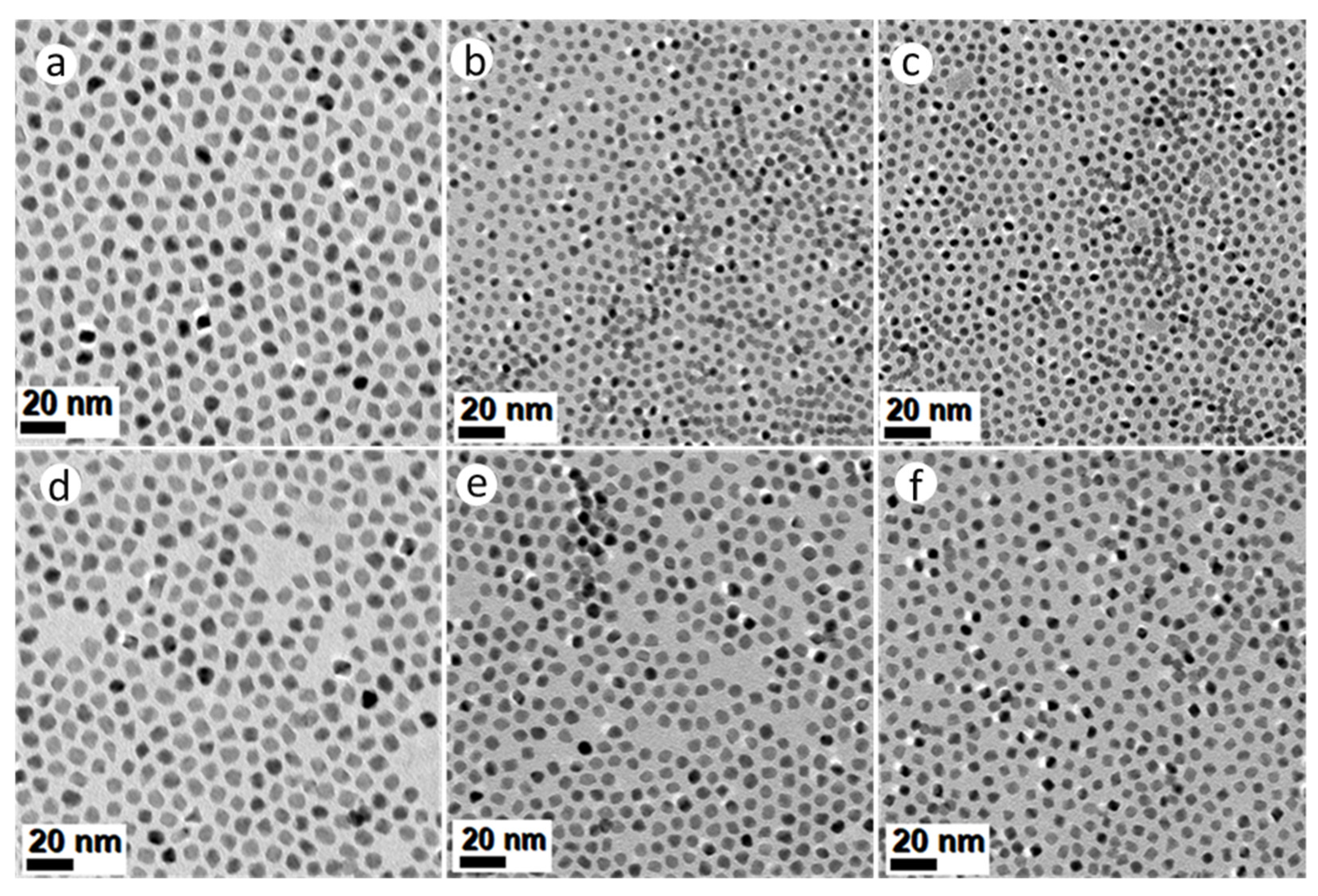 Nanomaterials 11 01825 g003 550
