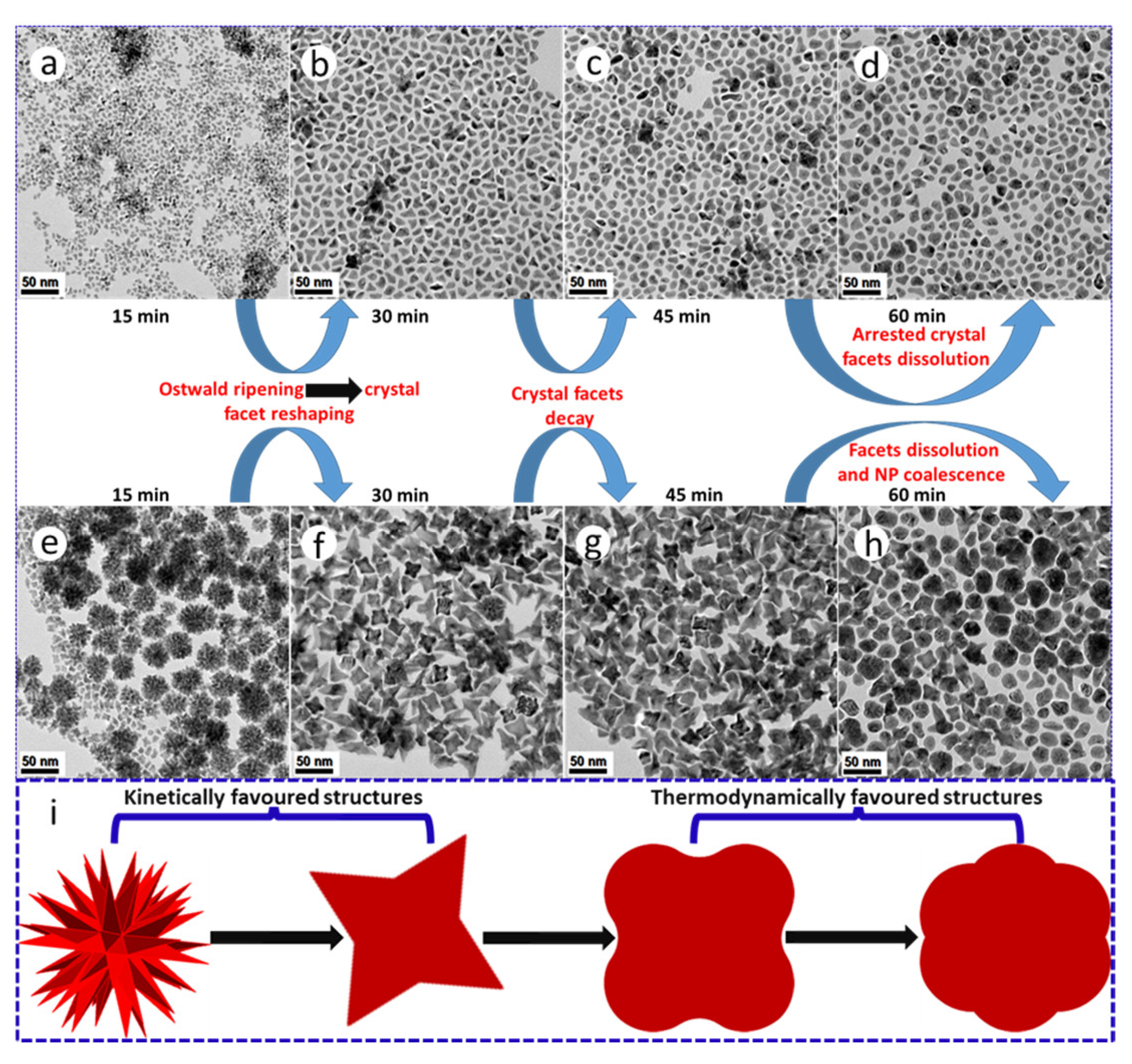 Nanomaterials 11 01825 g005 550