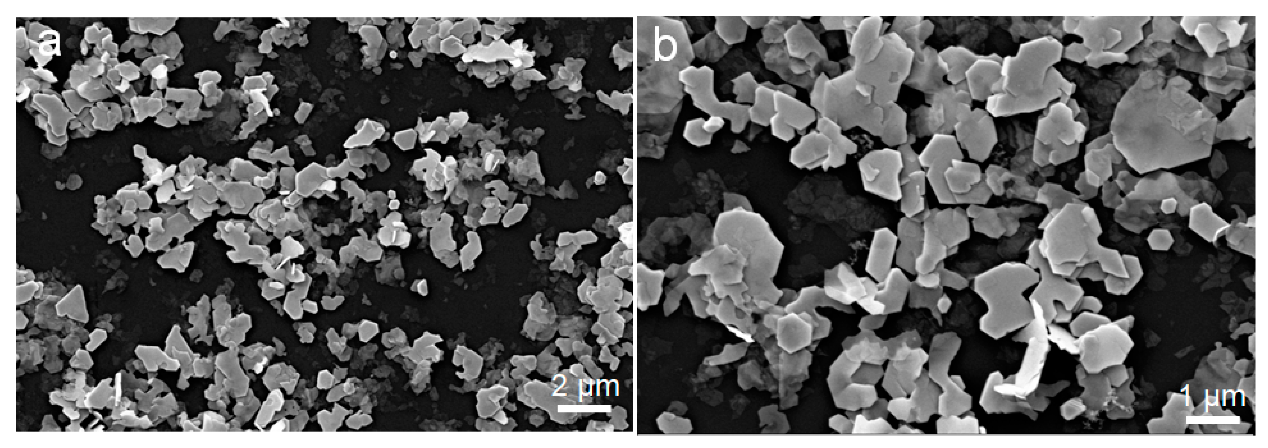 Nanomaterials 11 01827 g005