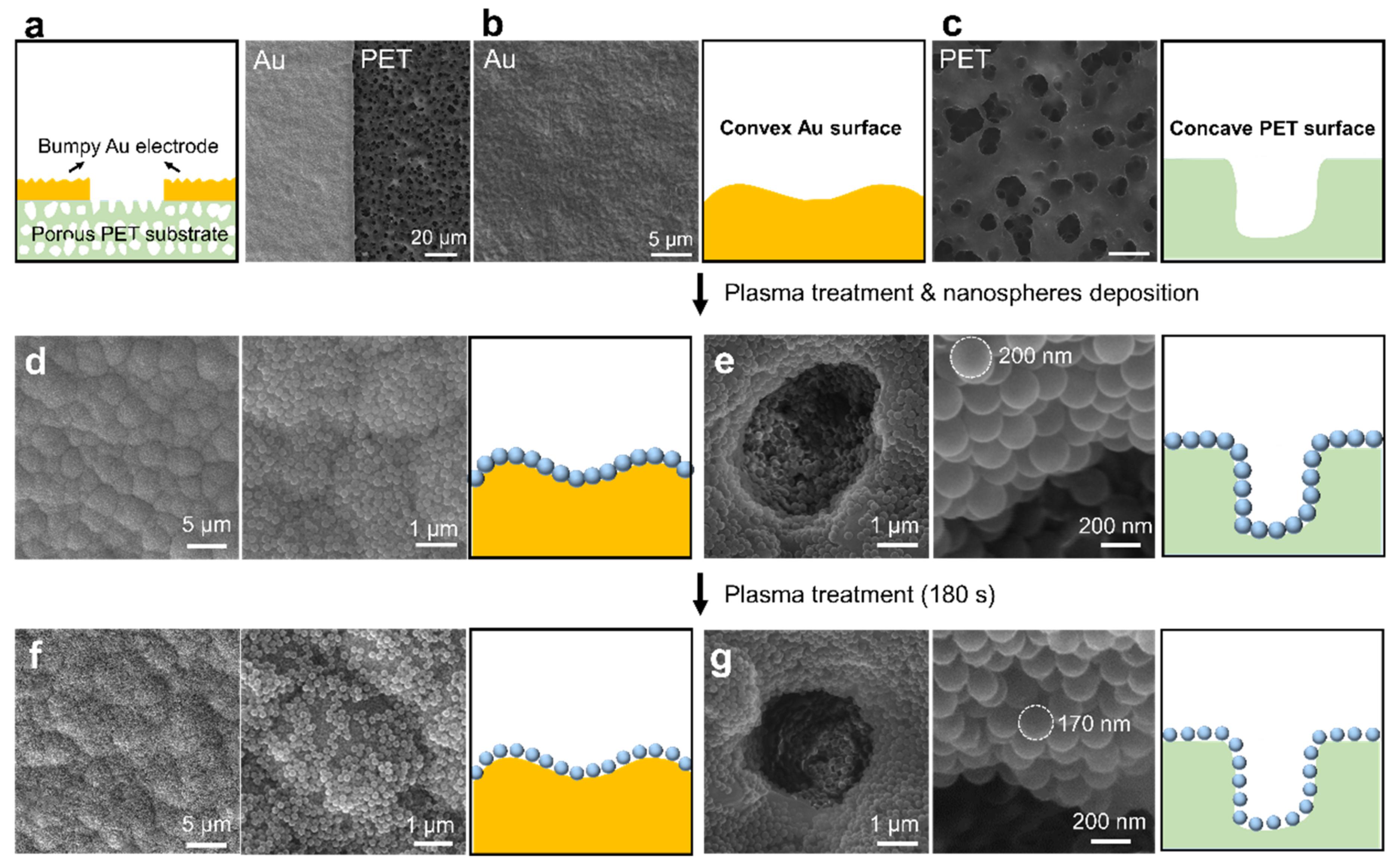 Nanomaterials 11 01829 g003