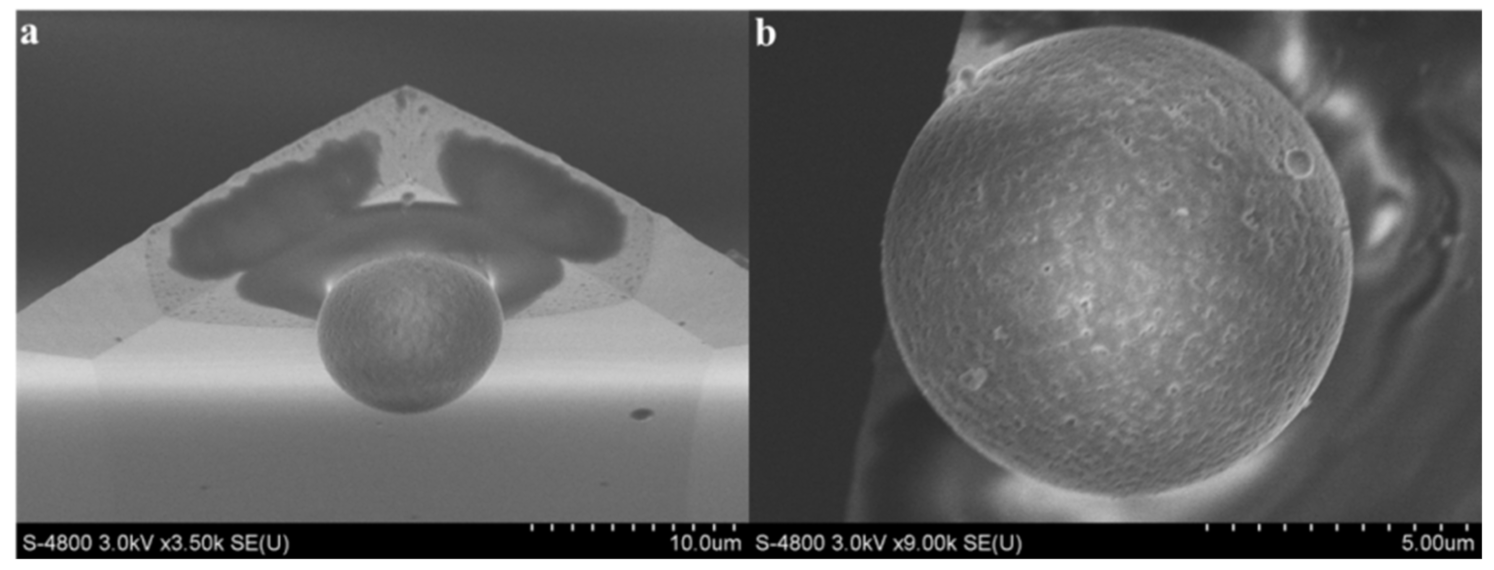 Nanomaterials 11 01835 g002 550