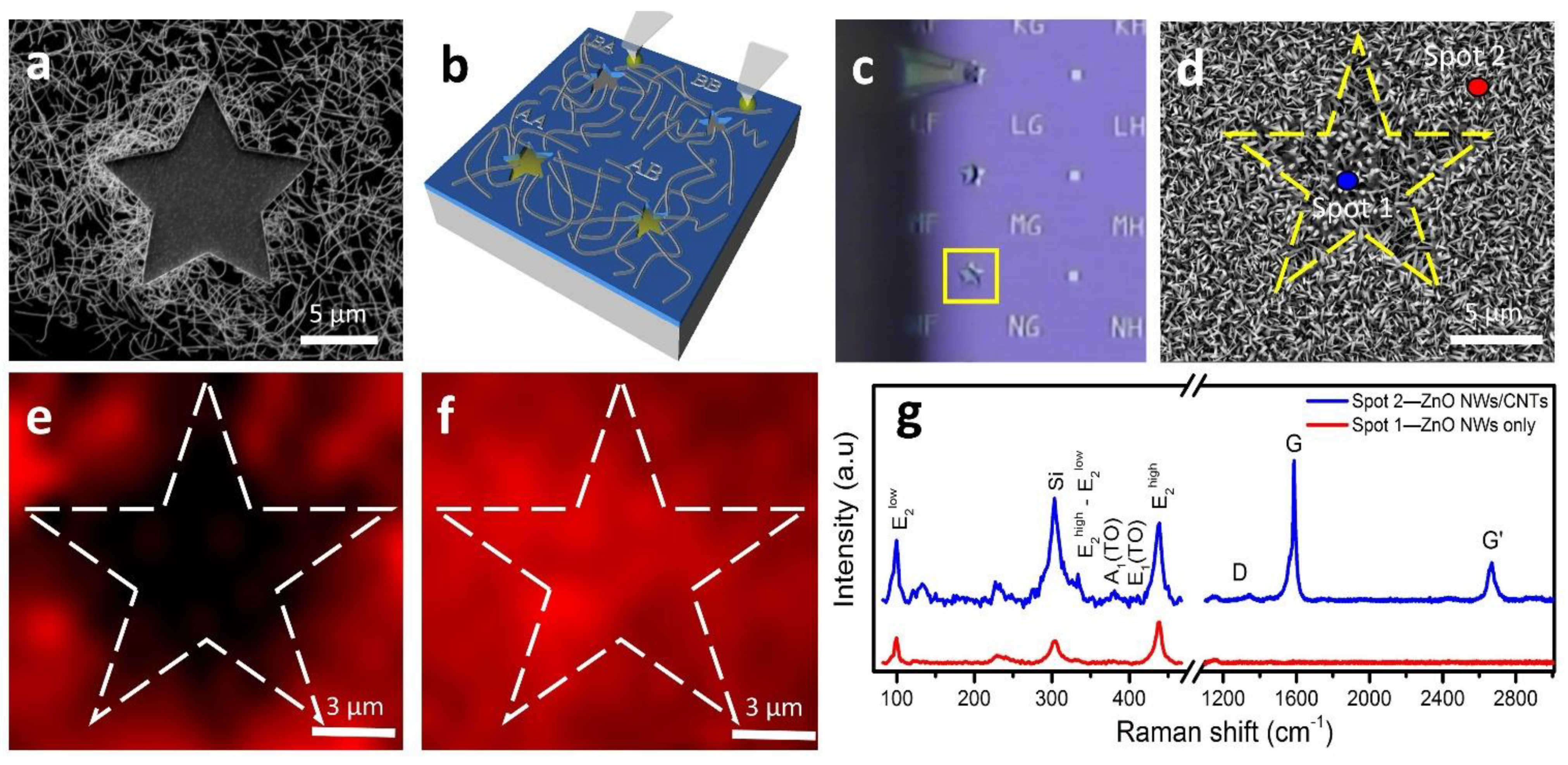 Nanomaterials 11 01836 g006 550