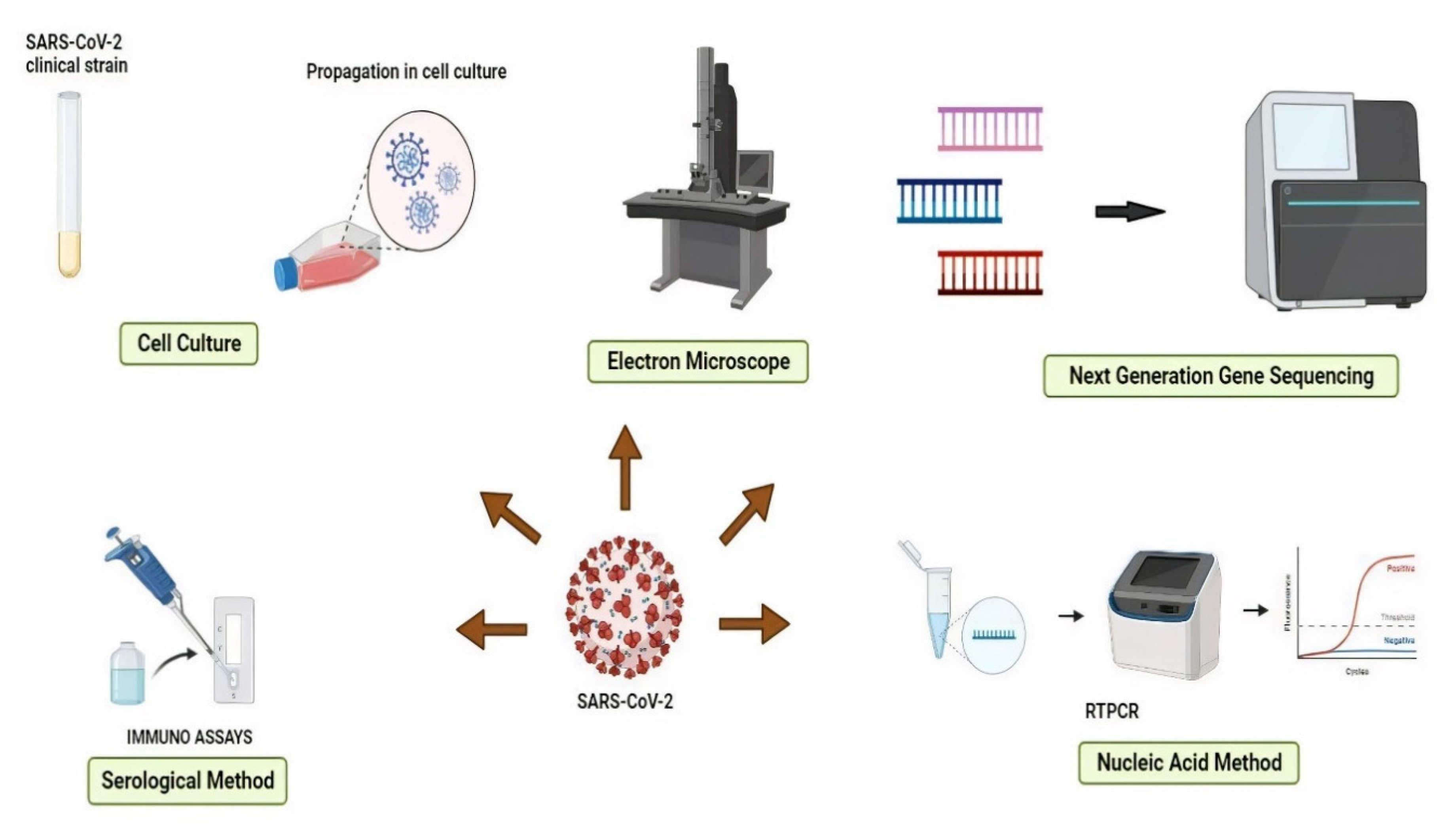 Nanomaterials 11 01841 g002 Nanomaterials 11 01841 g002