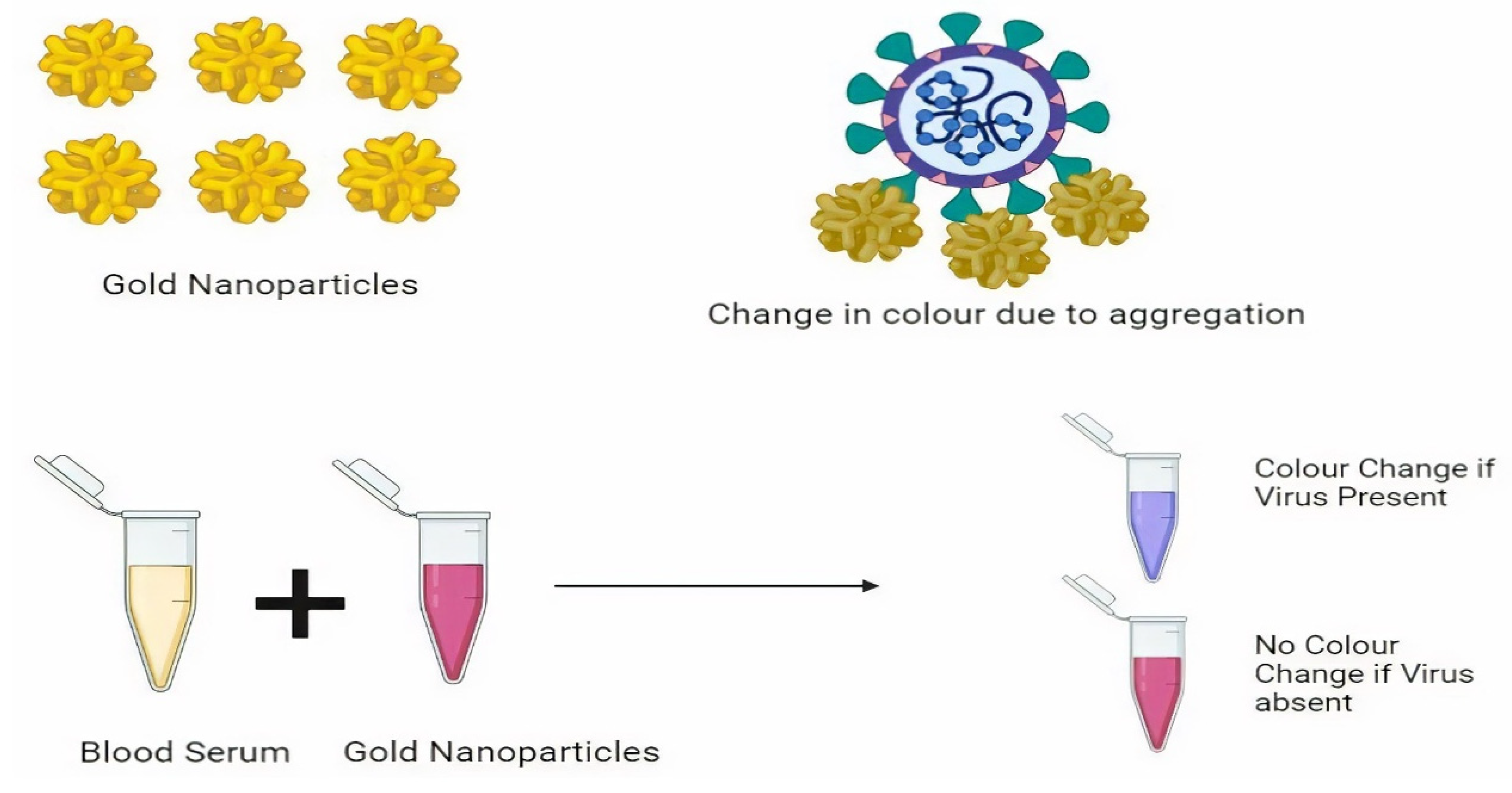 Nanomaterials 11 01841 g003 Nanomaterials 11 01841 g003