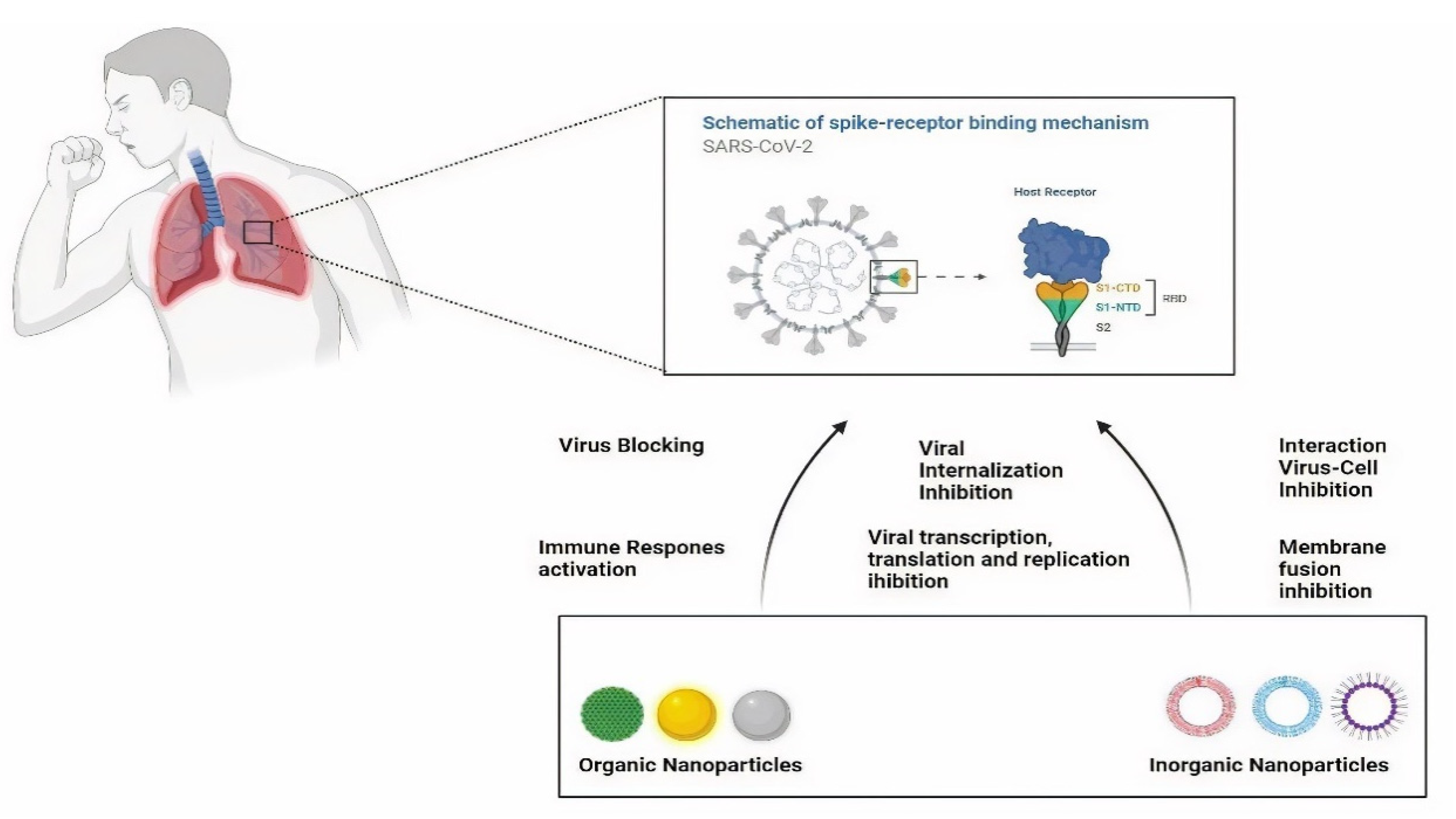 Nanomaterials 11 01841 g004 Nanomaterials 11 01841 g004