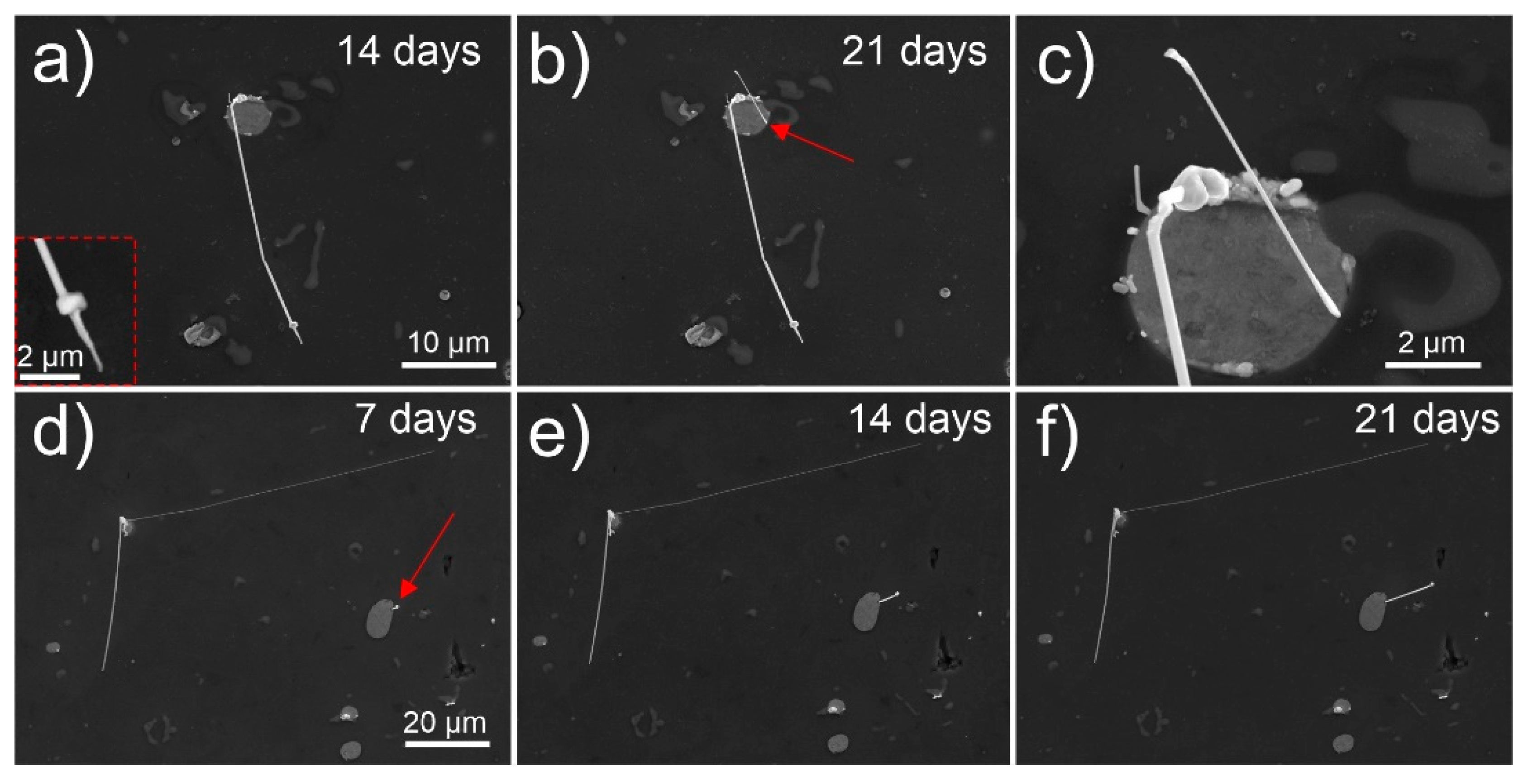 Nanomaterials 11 01842 g004