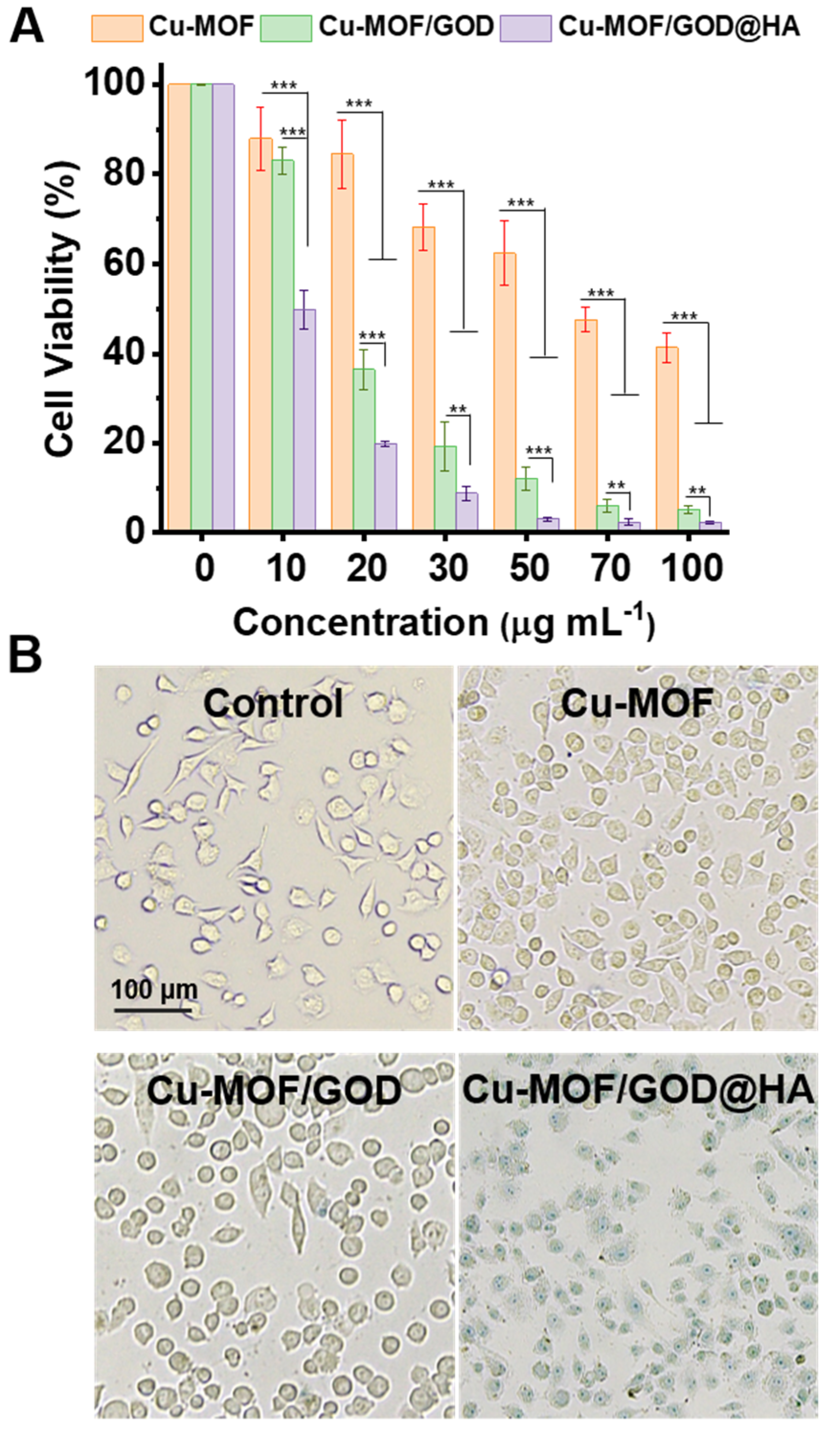 Nanomaterials 11 01843 g005 550
