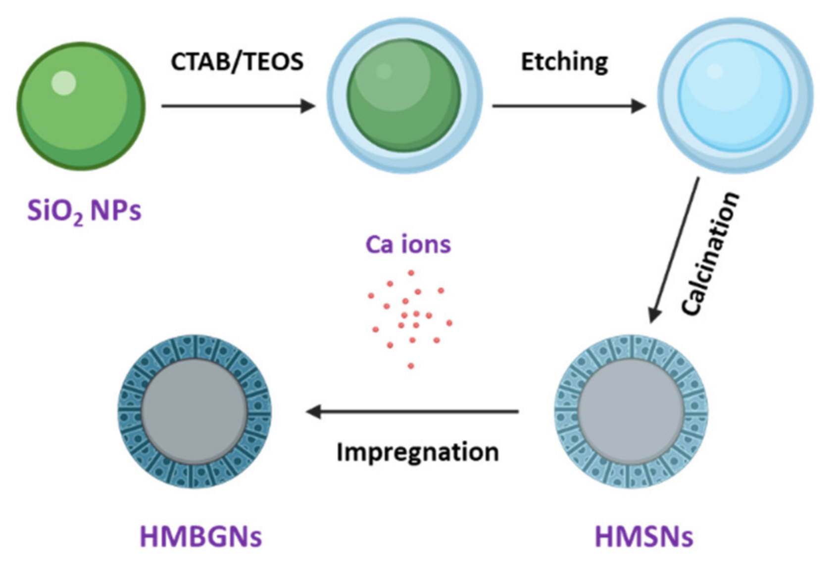 Nanomaterials 11 01846 g001