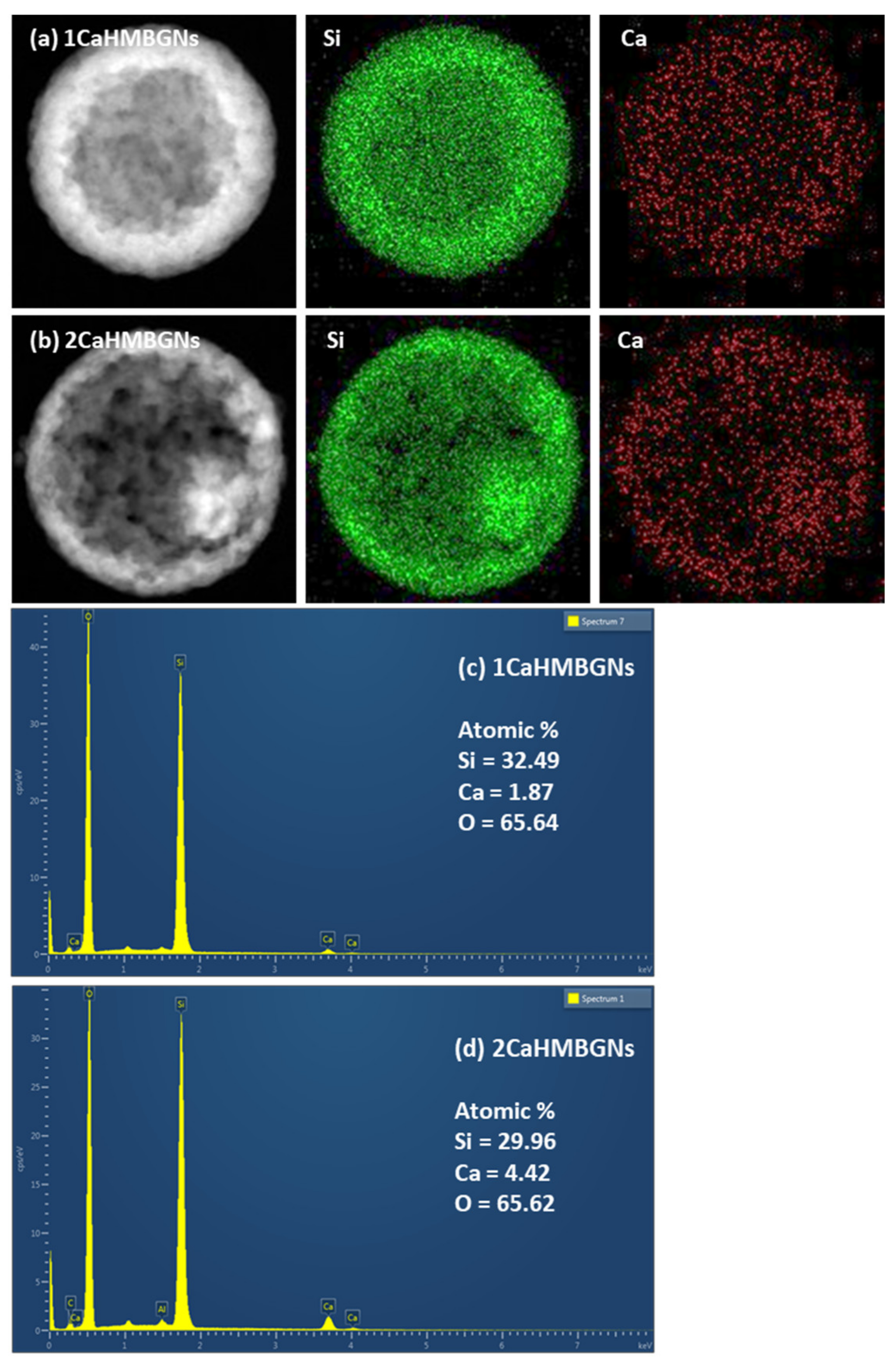 Nanomaterials 11 01846 g004