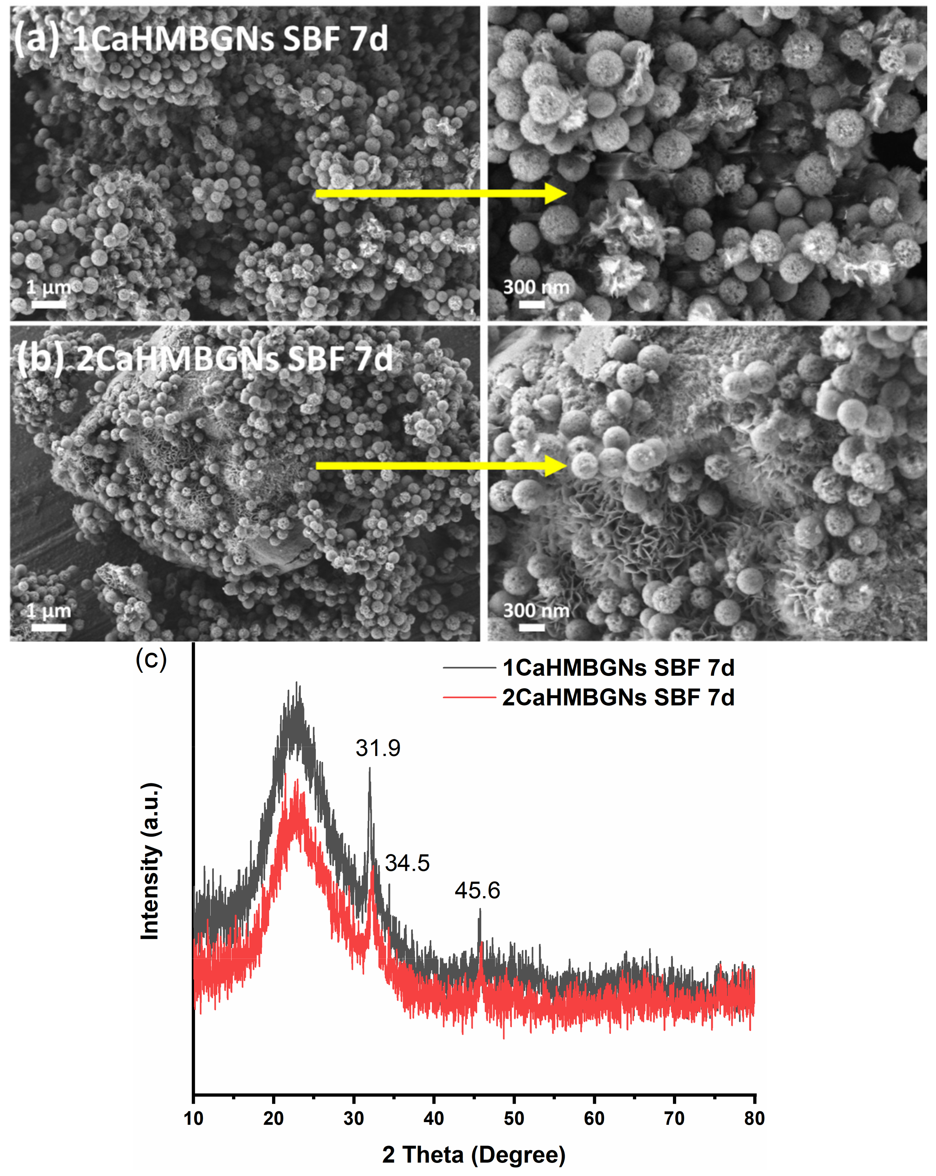 Nanomaterials 11 01846 g007