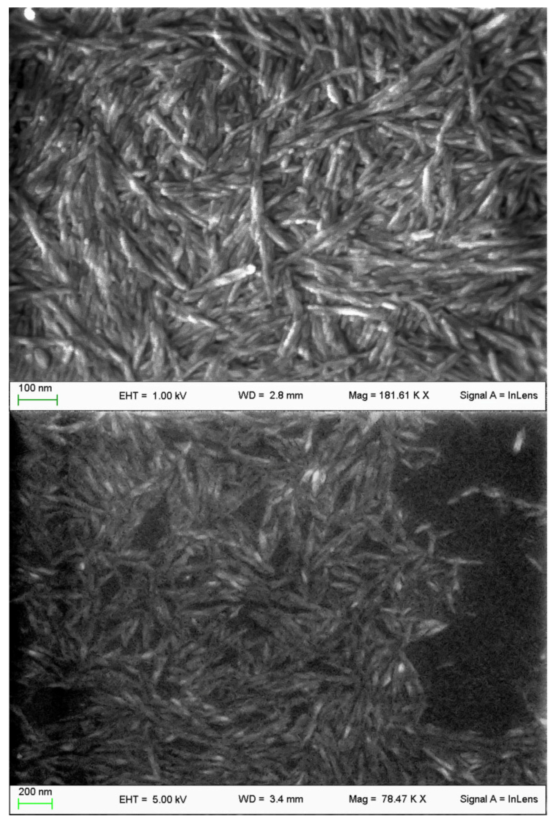 Nanomaterials 11 01852 g001 Nanomaterials 11 01852 g001