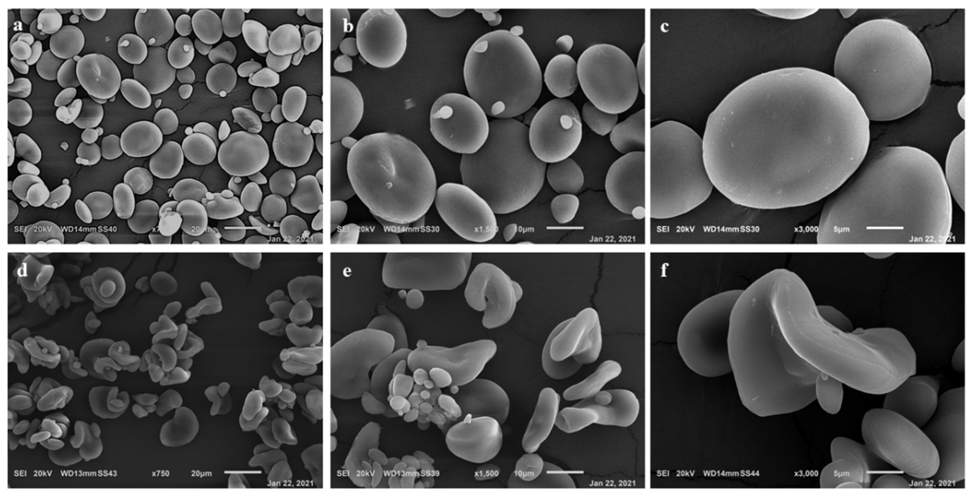 Nanomaterials 11 01852 g002 Nanomaterials 11 01852 g002