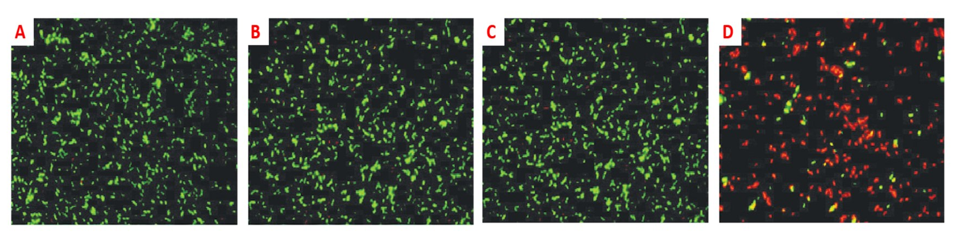 Nanomaterials 11 01868 g008