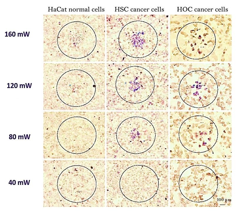 Nanomaterials 11 01868 g010