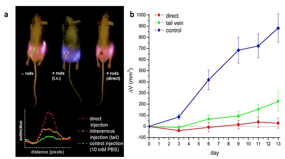 Nanomaterials 11 01868 g011