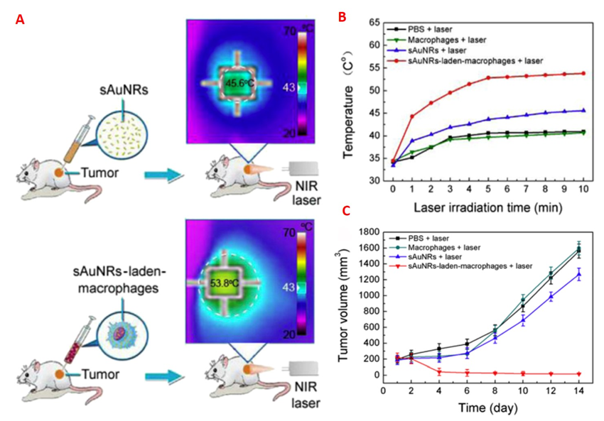 Nanomaterials 11 01868 g012