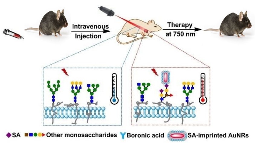 Nanomaterials 11 01868 g013