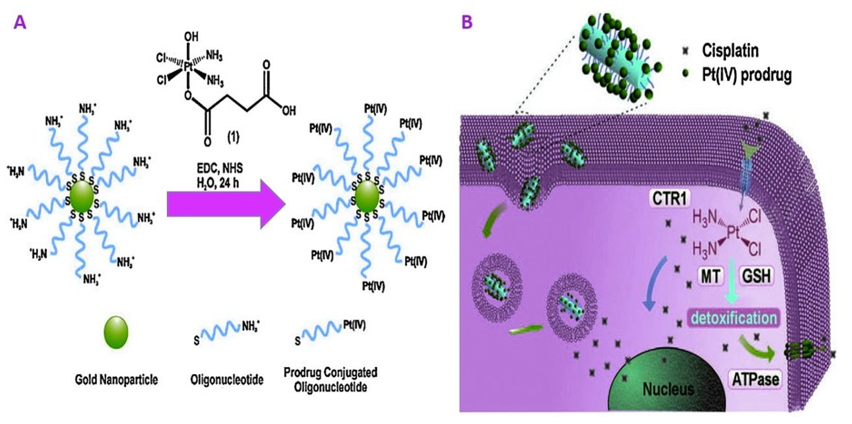 Nanomaterials 11 01868 g014