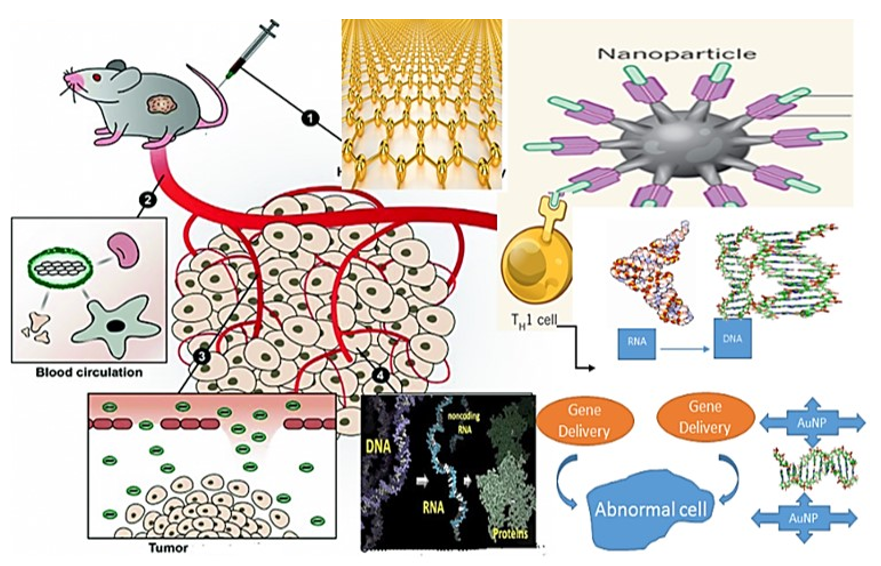 Nanomaterials 11 01868 g015