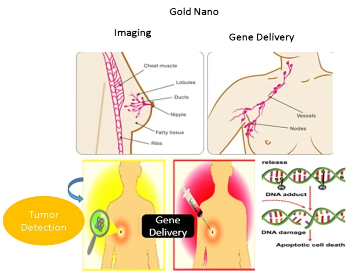 Nanomaterials 11 01868 g016
