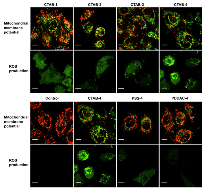 Nanomaterials 11 01868 g018