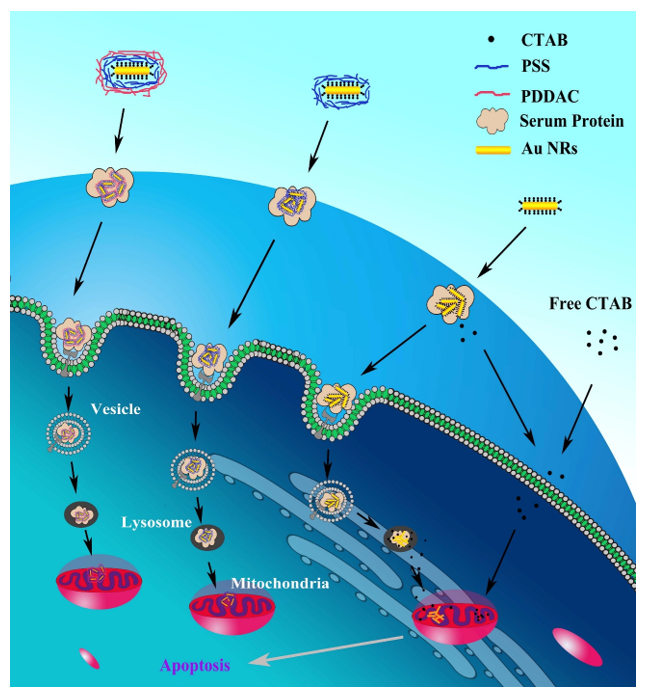 Nanomaterials 11 01868 g021