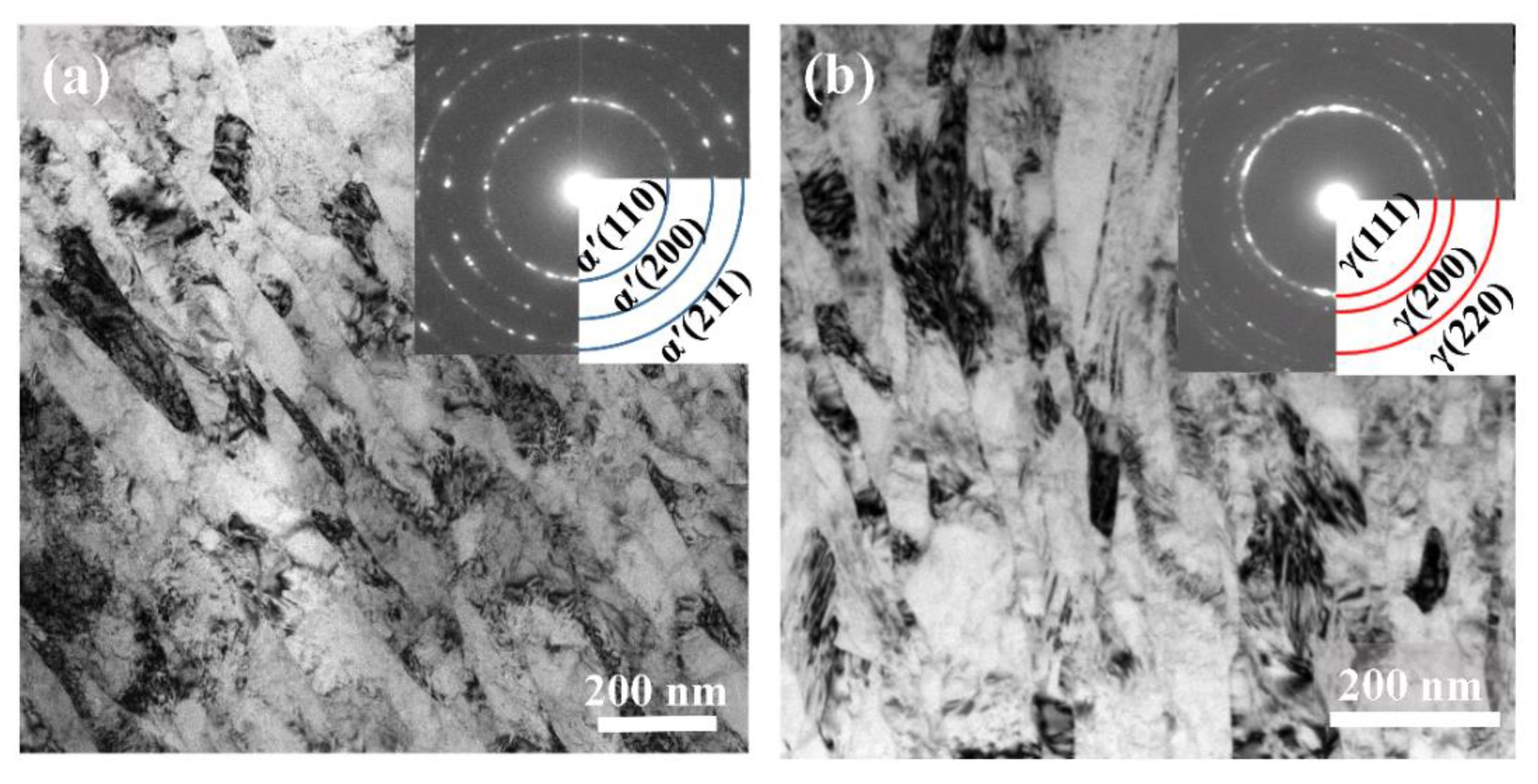 Nanomaterials 11 01870 g002