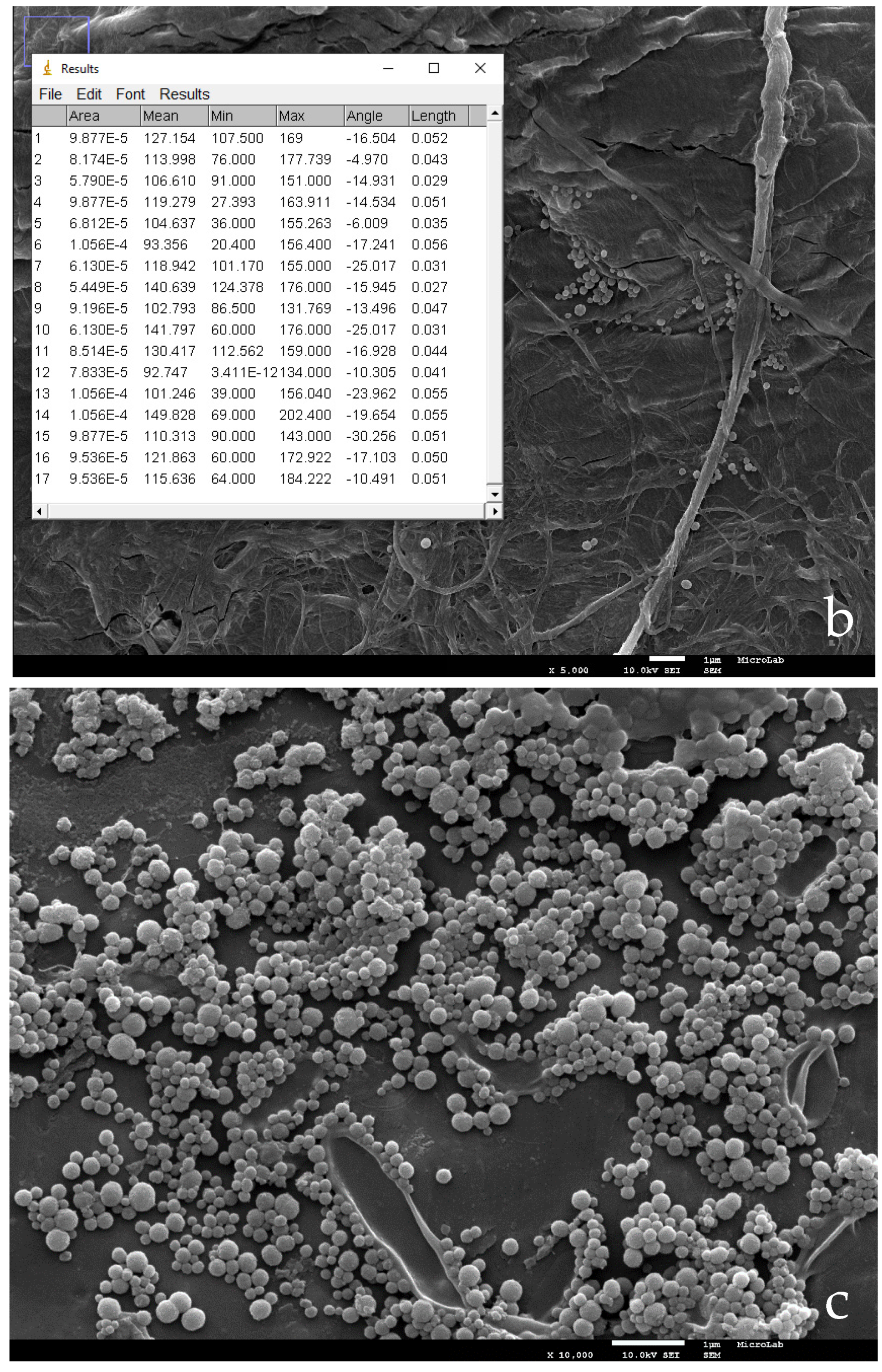 Nanomaterials 11 01871 g003b