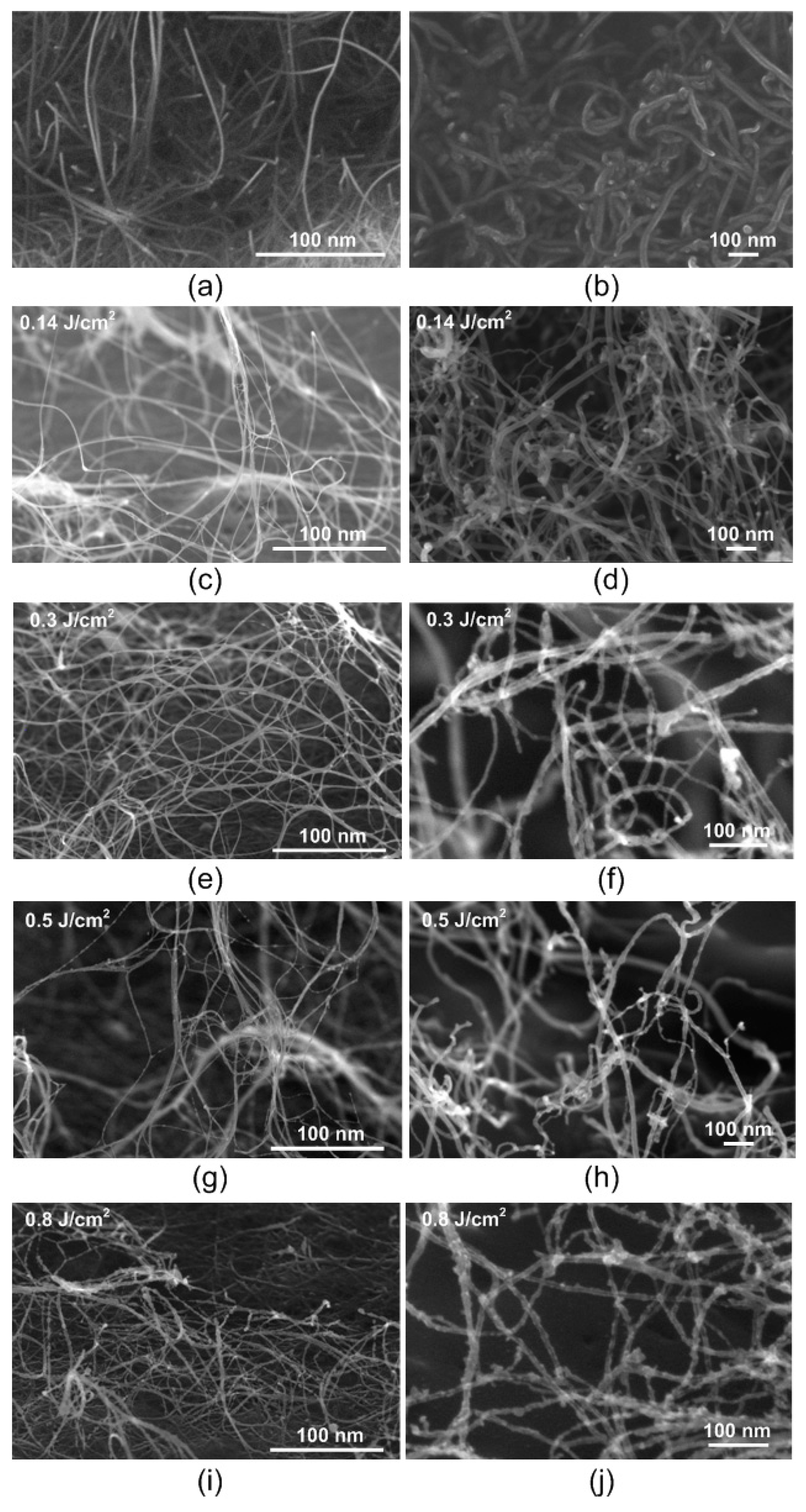 Nanomaterials 11 01875 g005