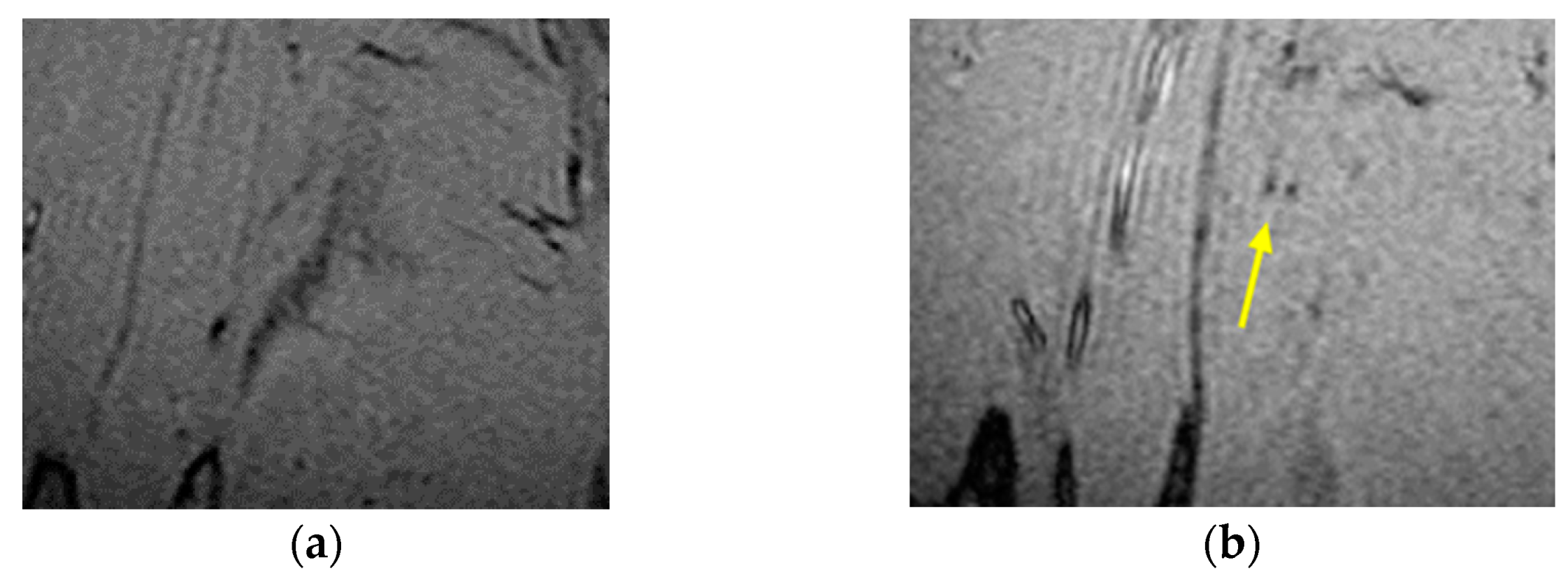 Nanomaterials 11 01876 g001