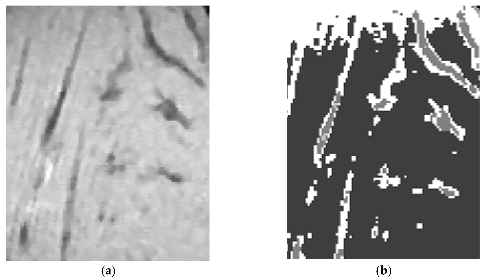 Nanomaterials 11 01876 g003