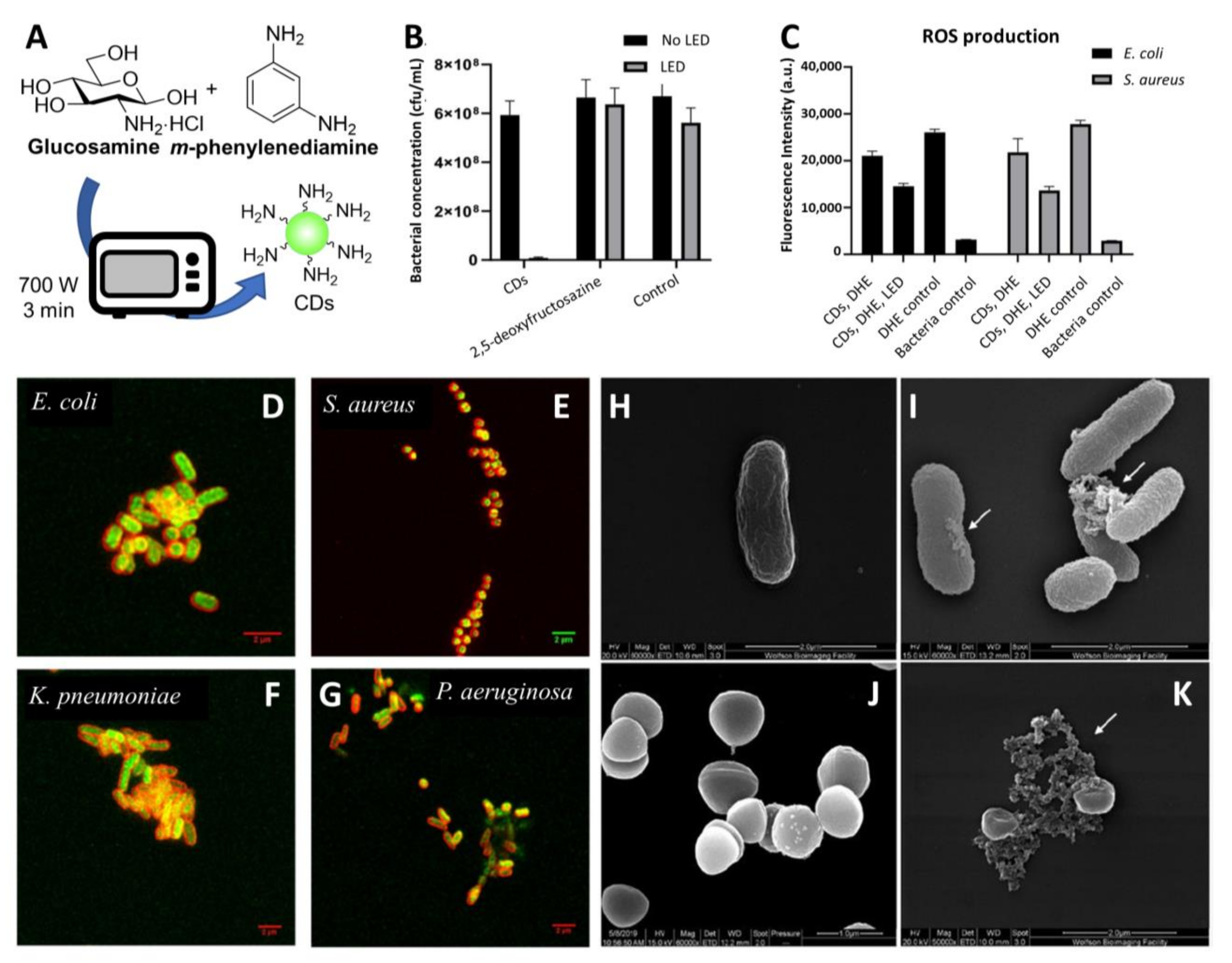 Nanomaterials 11 01877 g003 550