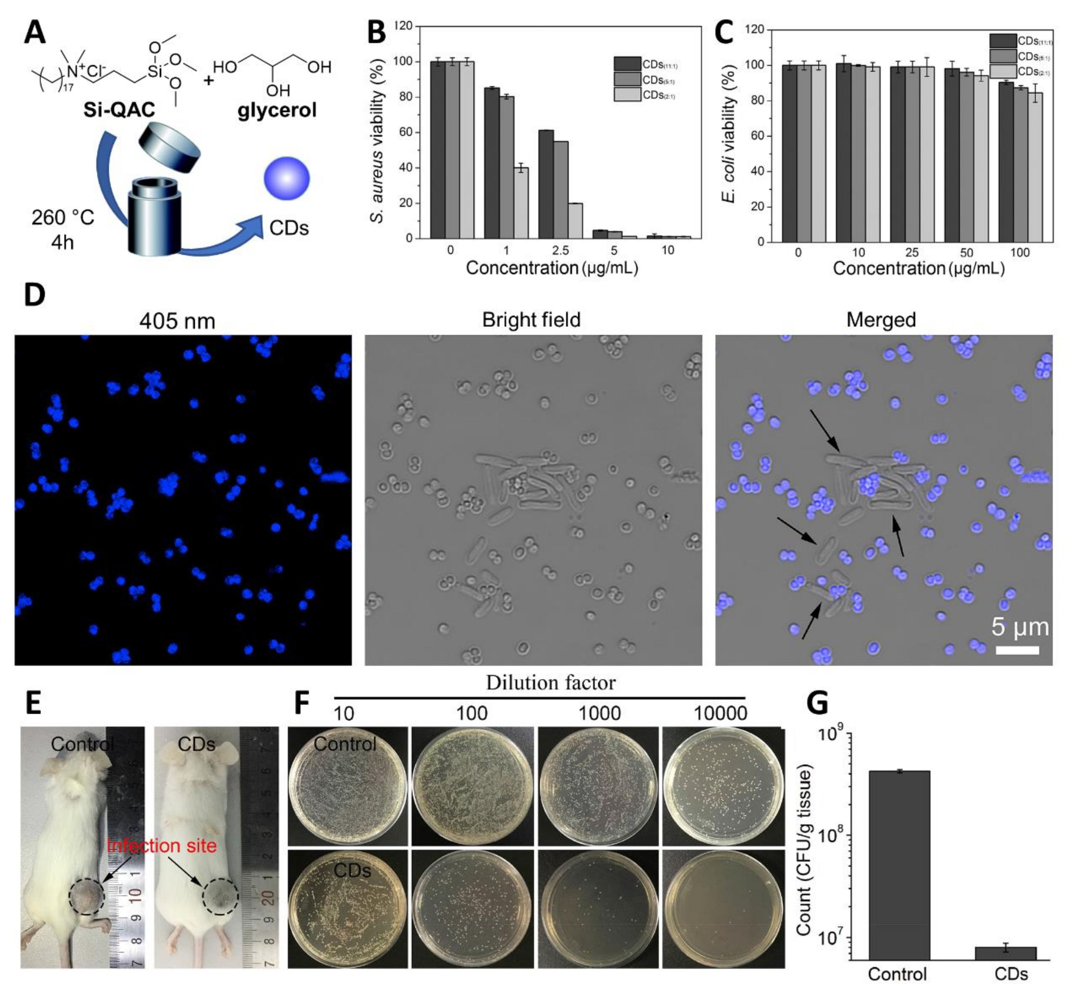 Nanomaterials 11 01877 g004 550